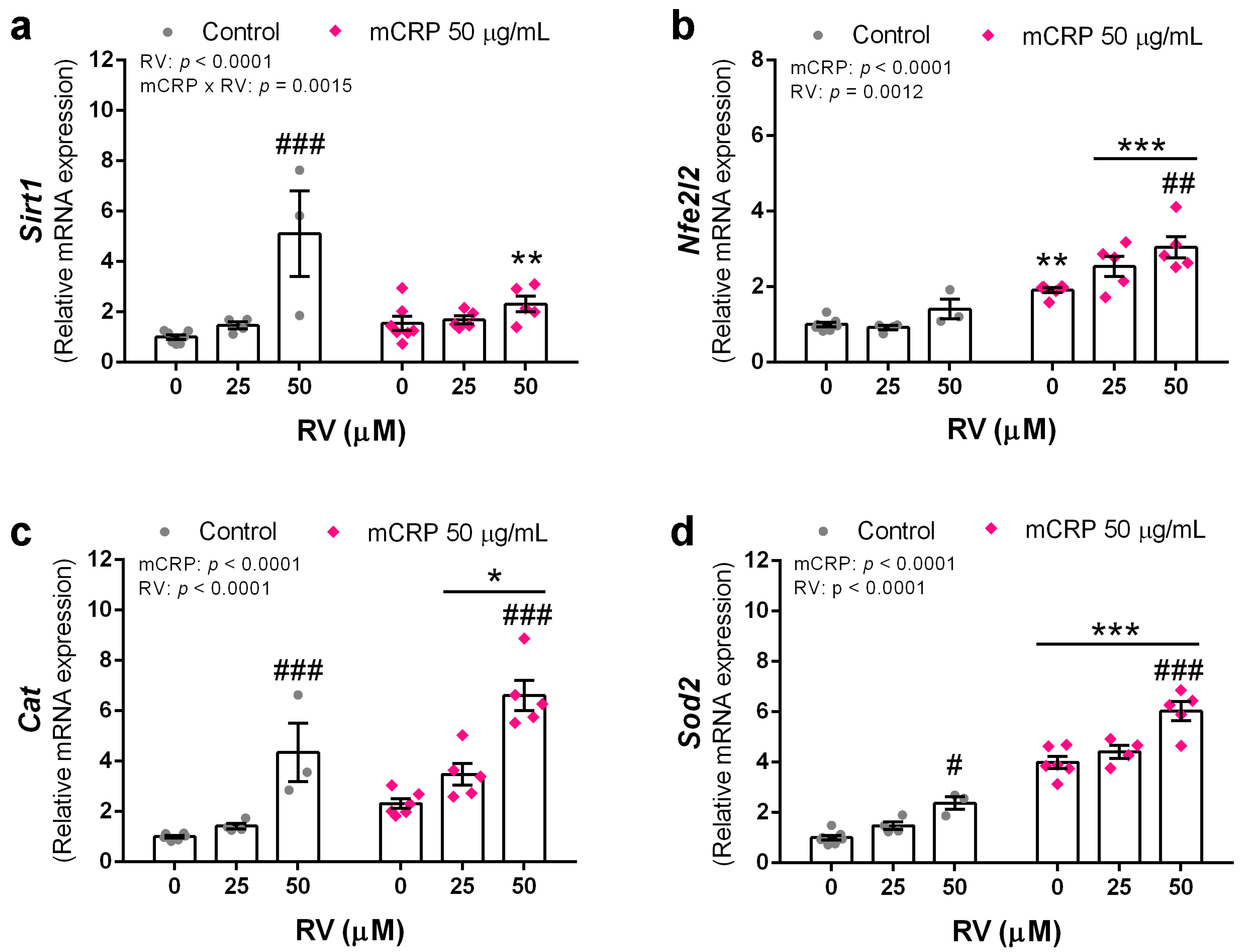 Antioxidants 13 00177 g007