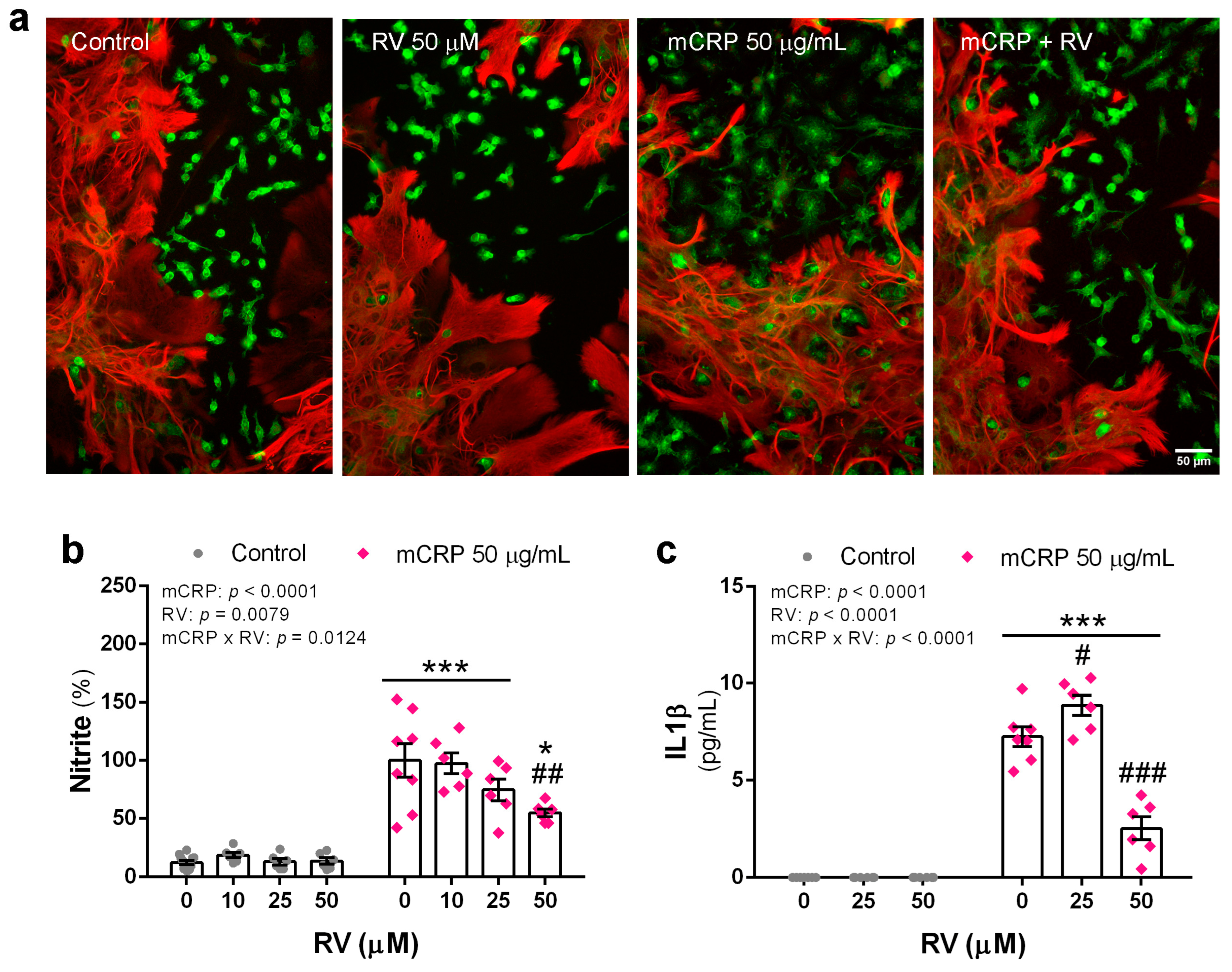 Antioxidants 13 00177 g008