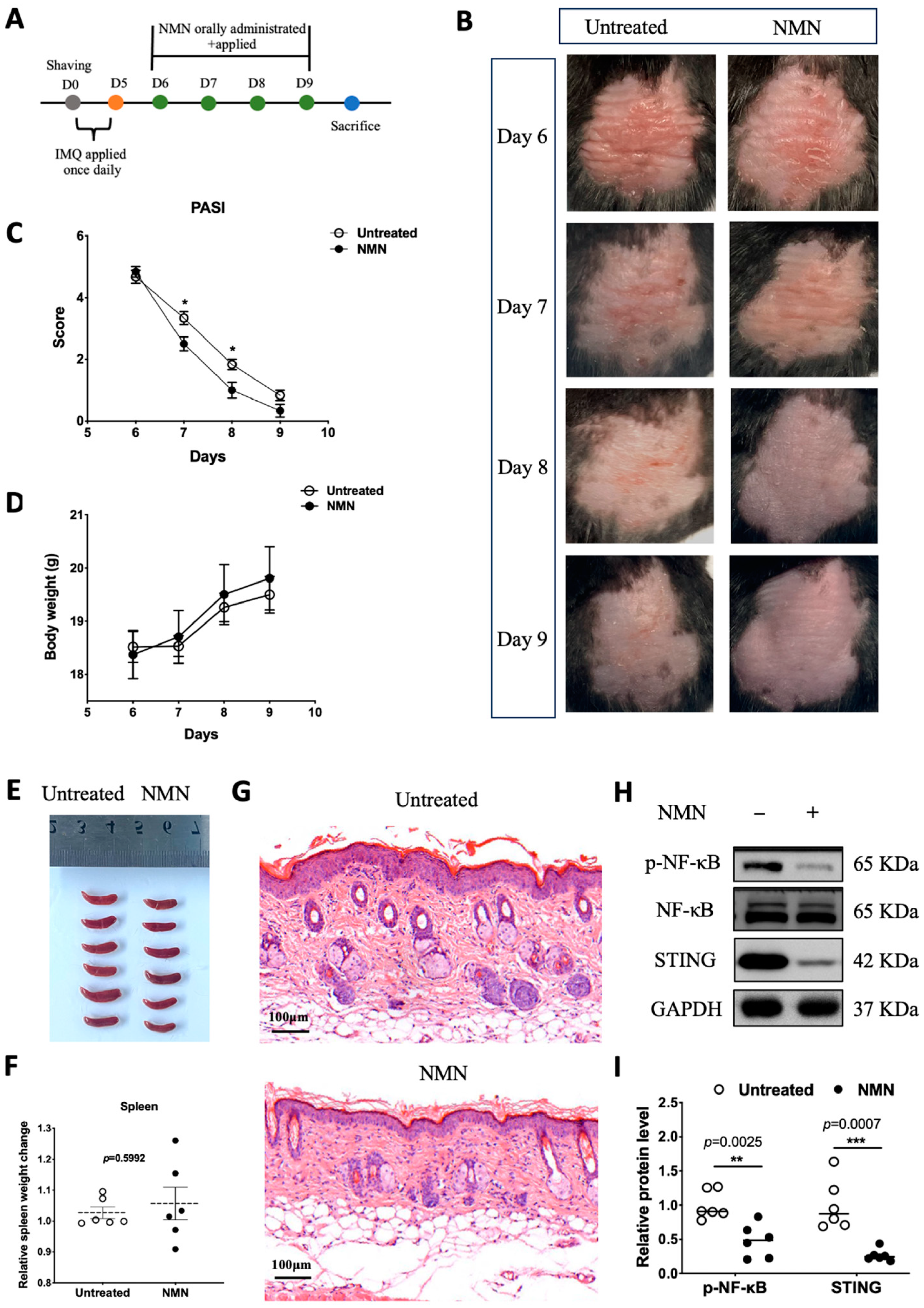 Antioxidants 13 00186 g004