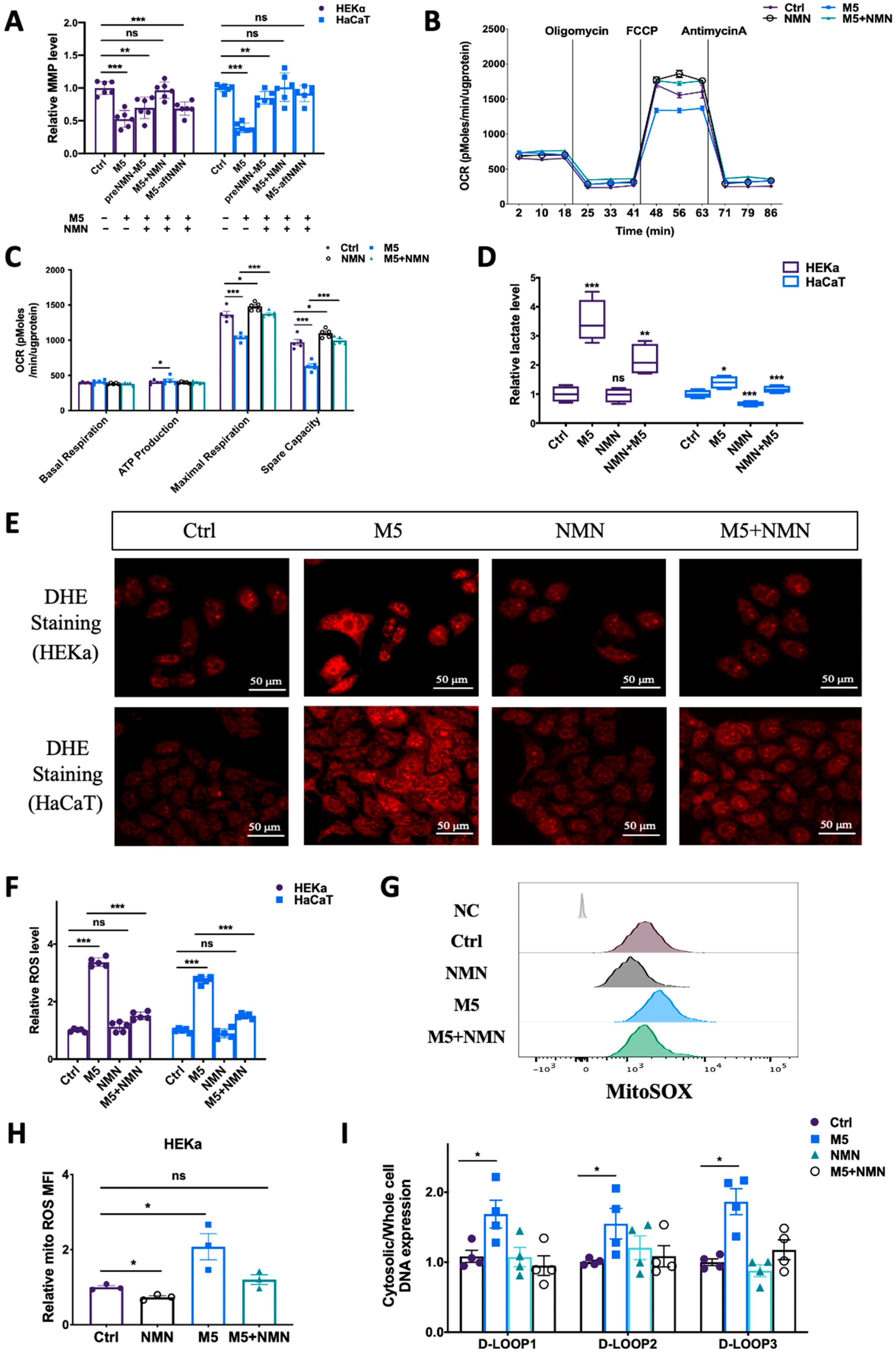 Antioxidants 13 00186 g006