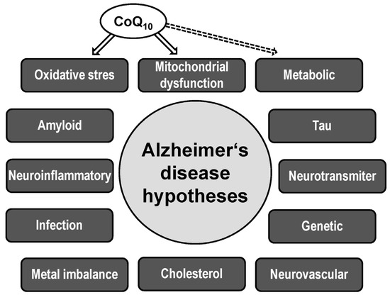 健康・医学 HUMANBIOLOGY Subcortical origins of human and monkey neocortical