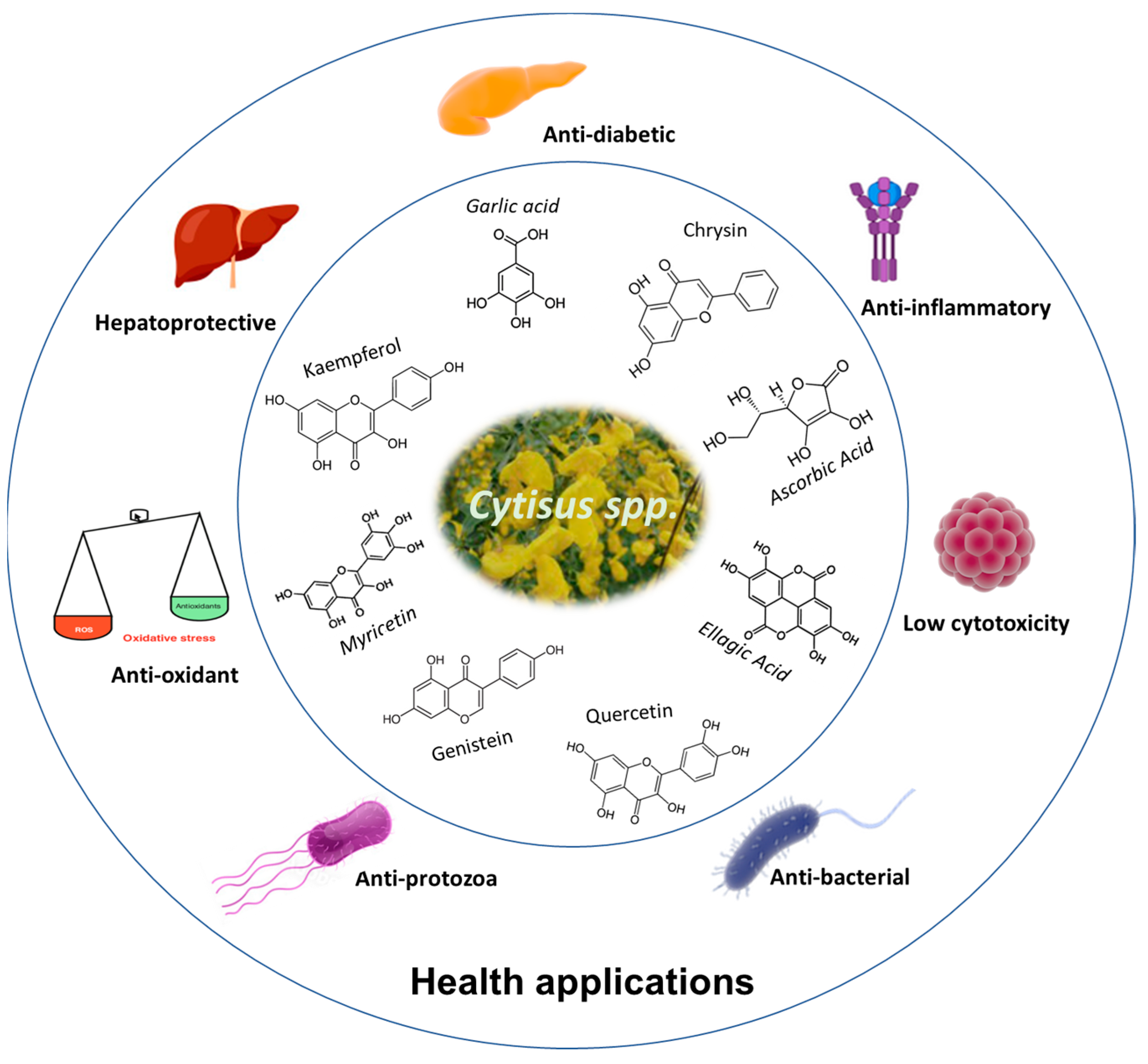 Antioxidants 13 00192 g003