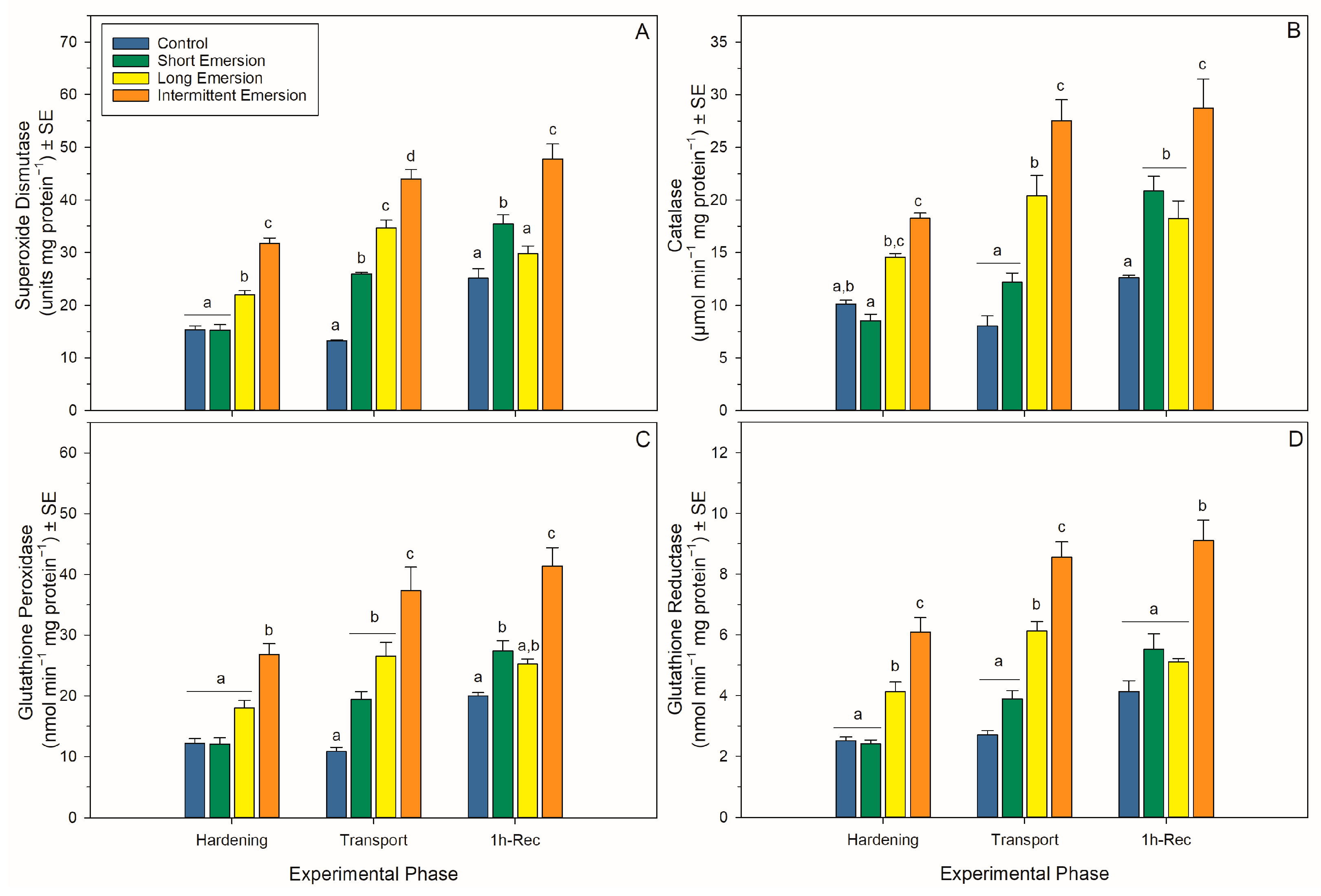 Antioxidants 13 00198 g005