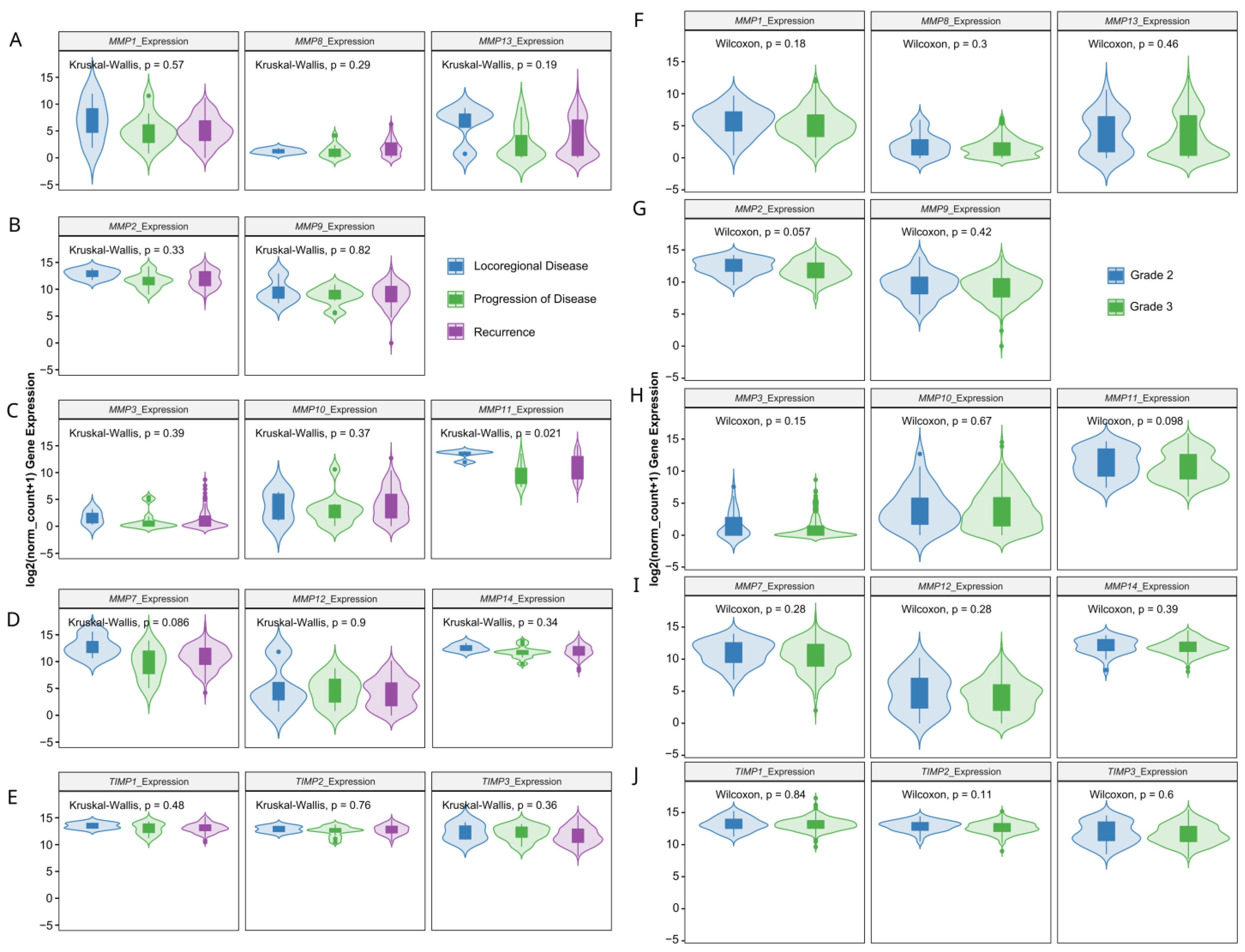 Antioxidants 13 00200 g003