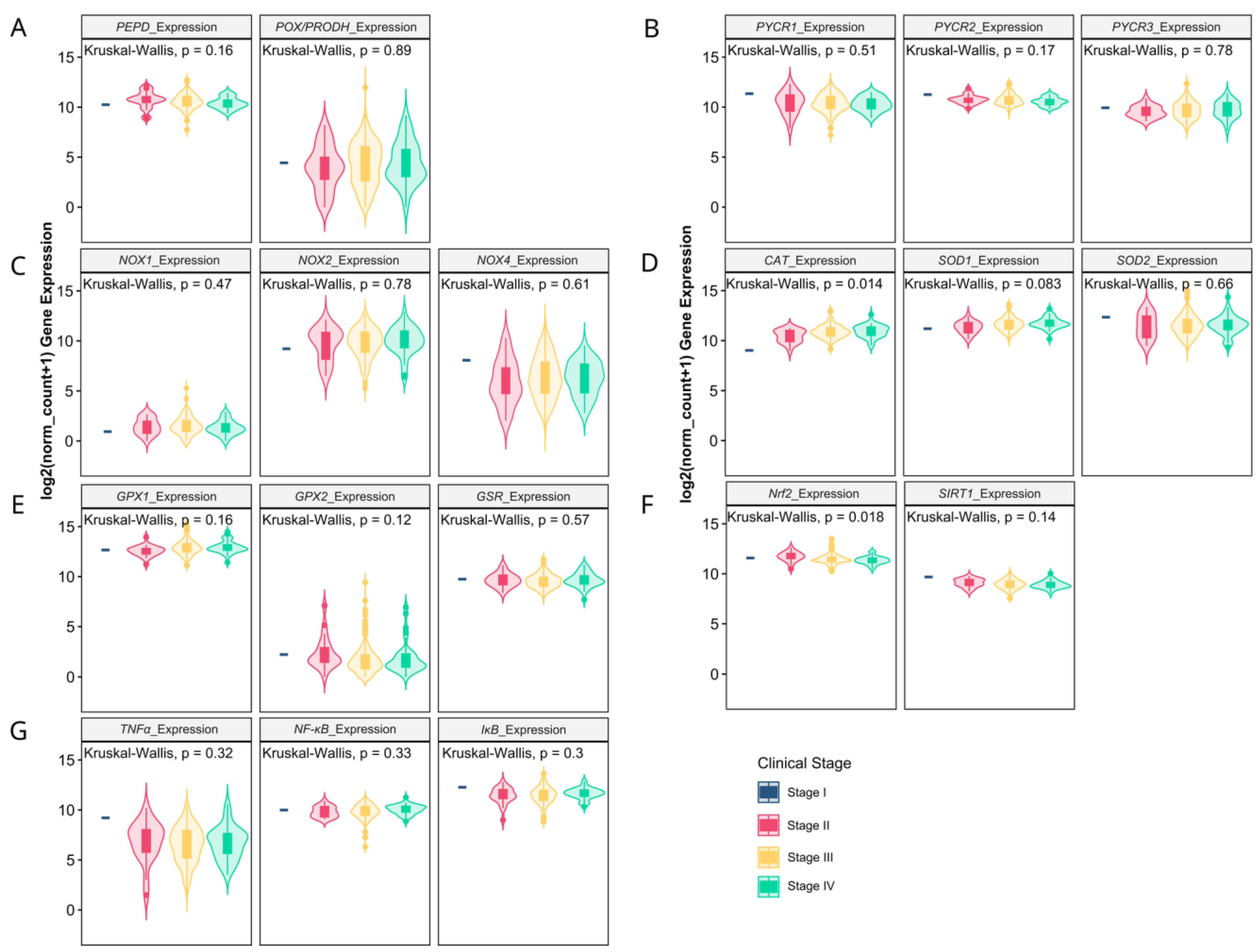 Antioxidants 13 00200 g006