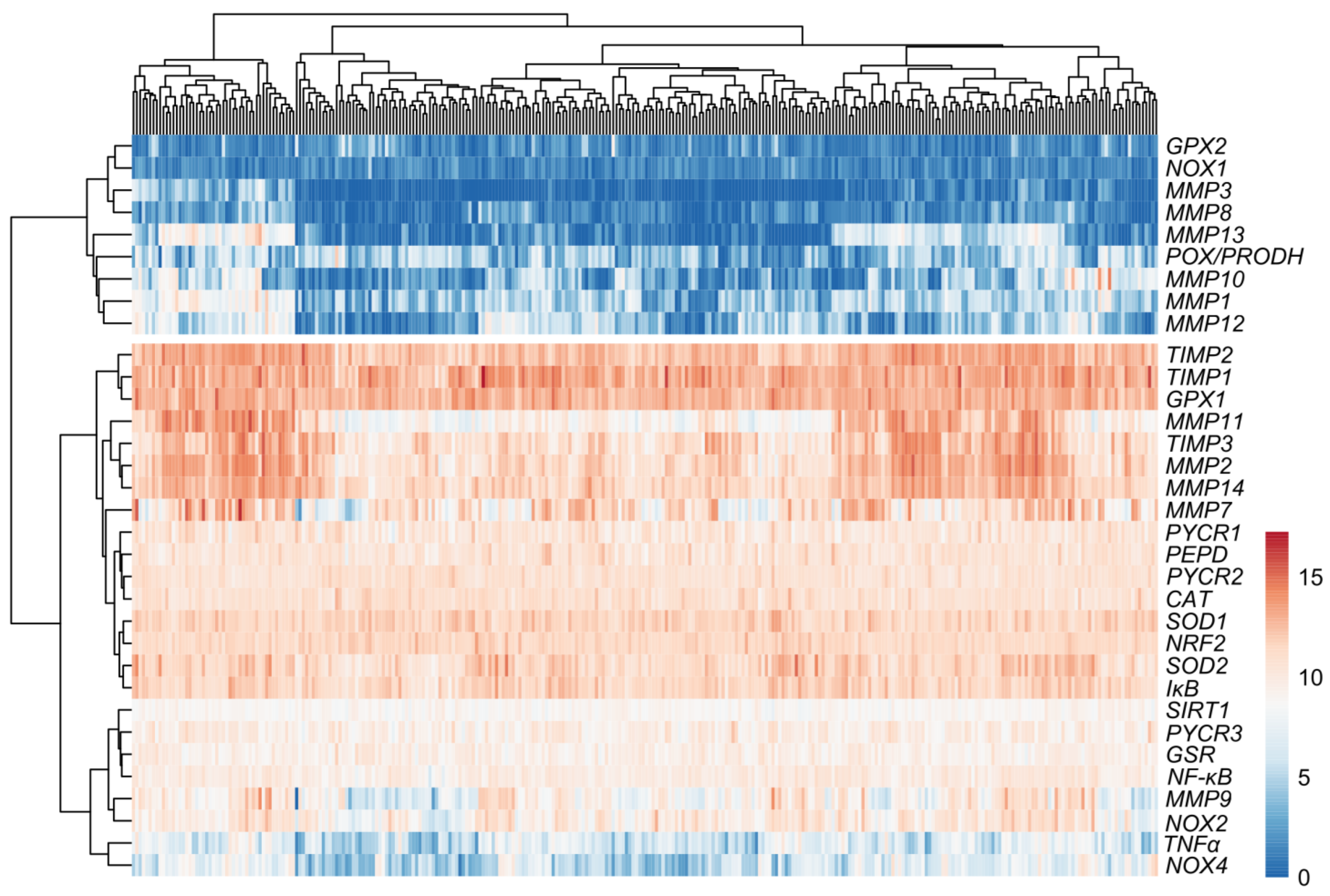 Antioxidants 13 00200 g009