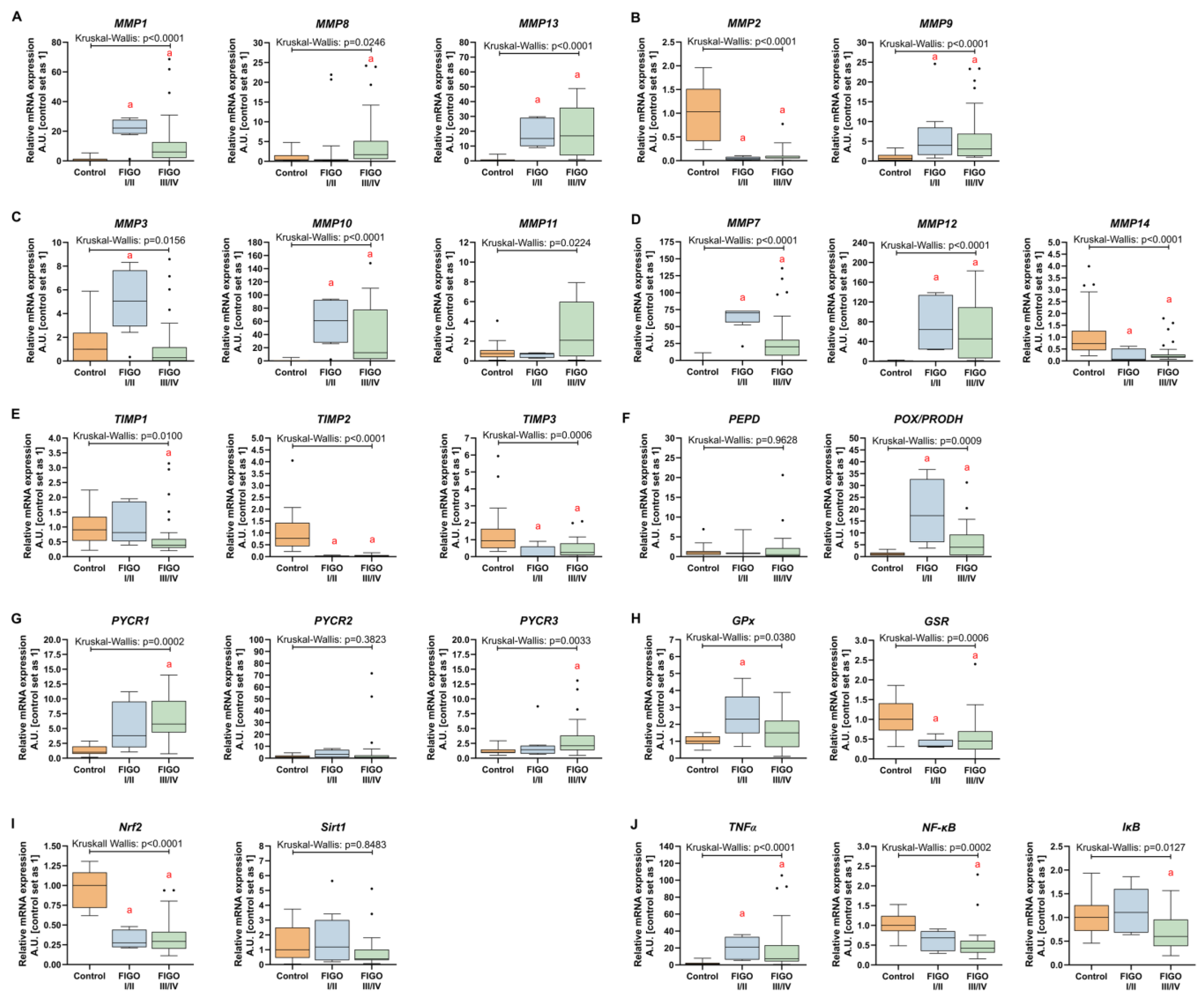 Antioxidants 13 00200 g013