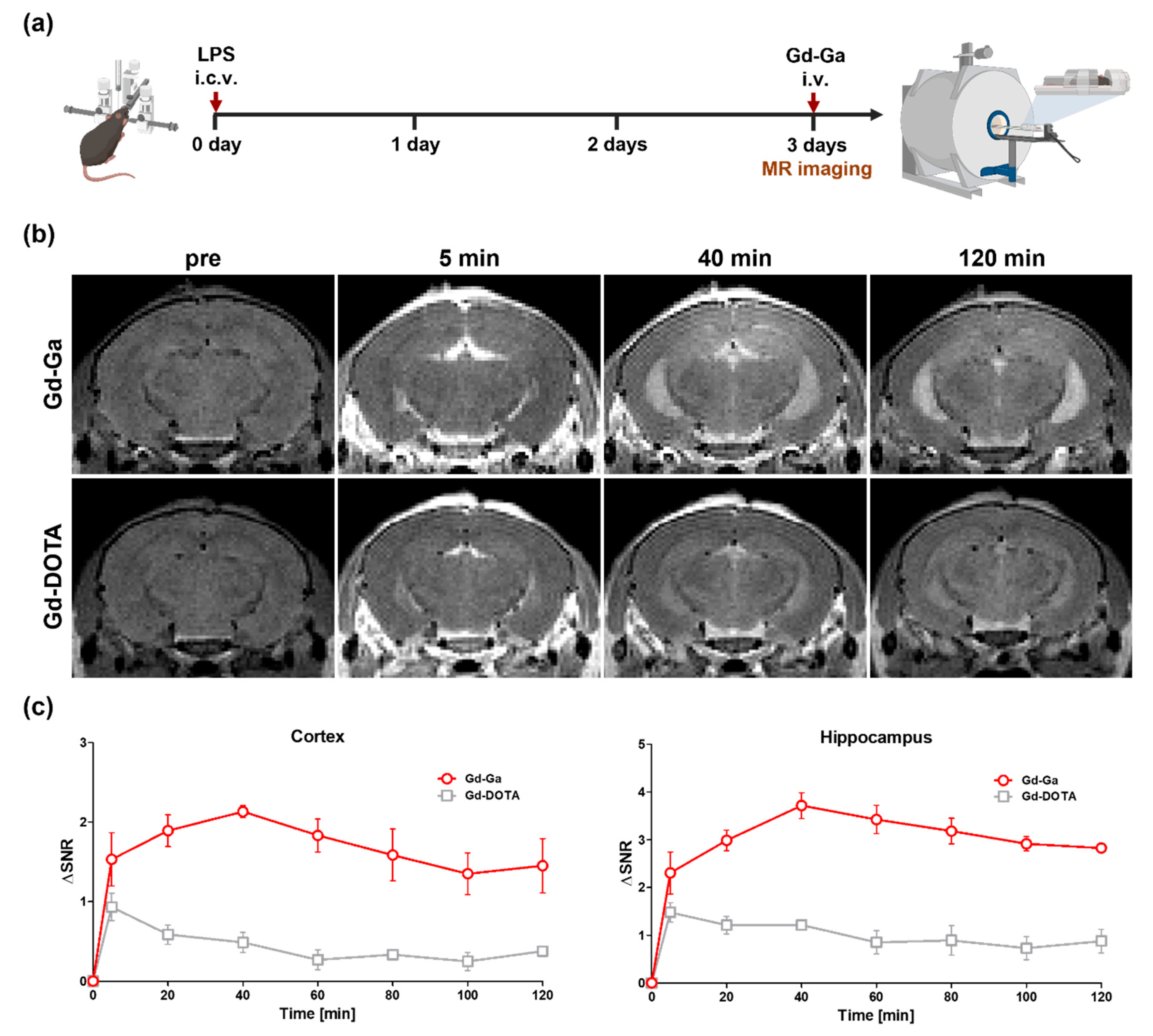 Antioxidants 13 00204 g007