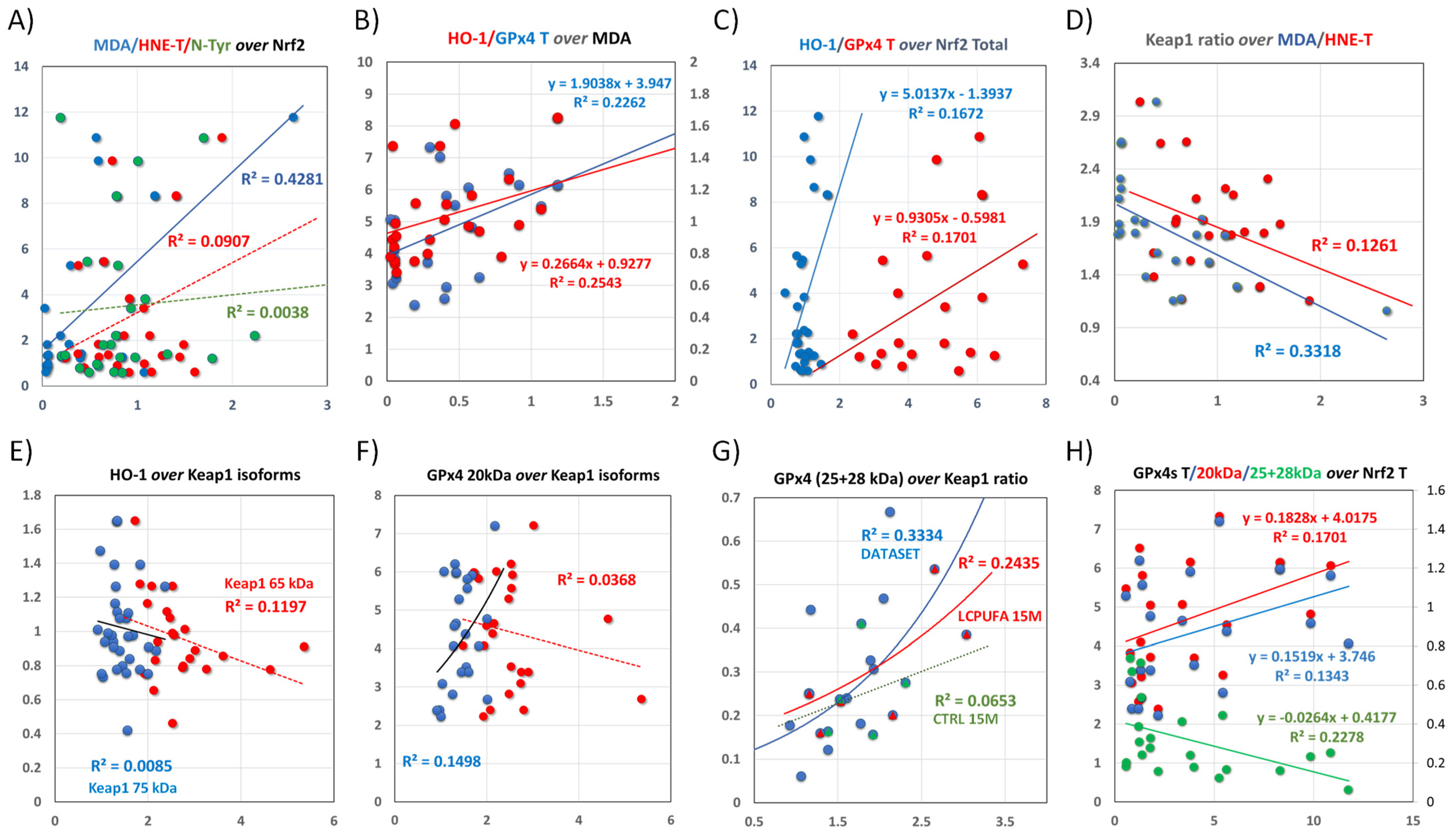 Antioxidants 13 00206 g008