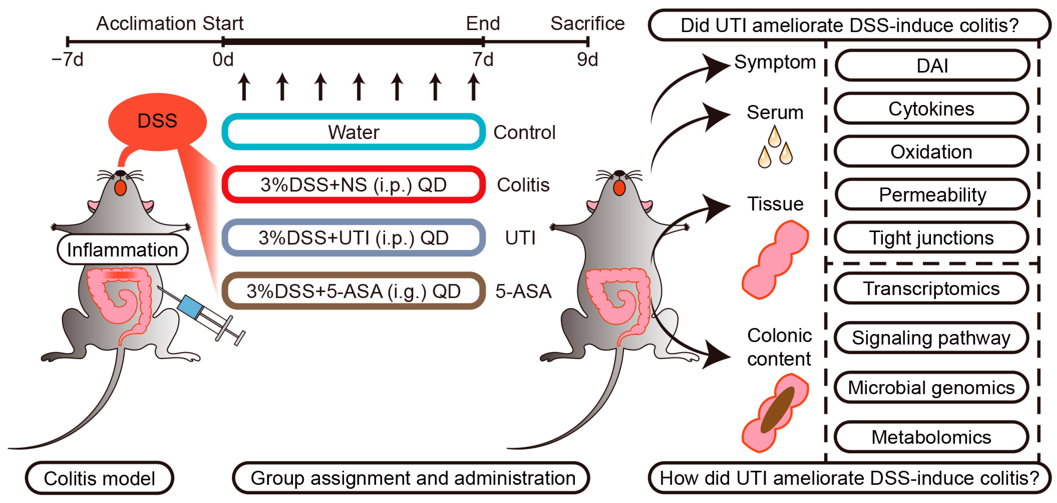 Antioxidants 13 00214 g001