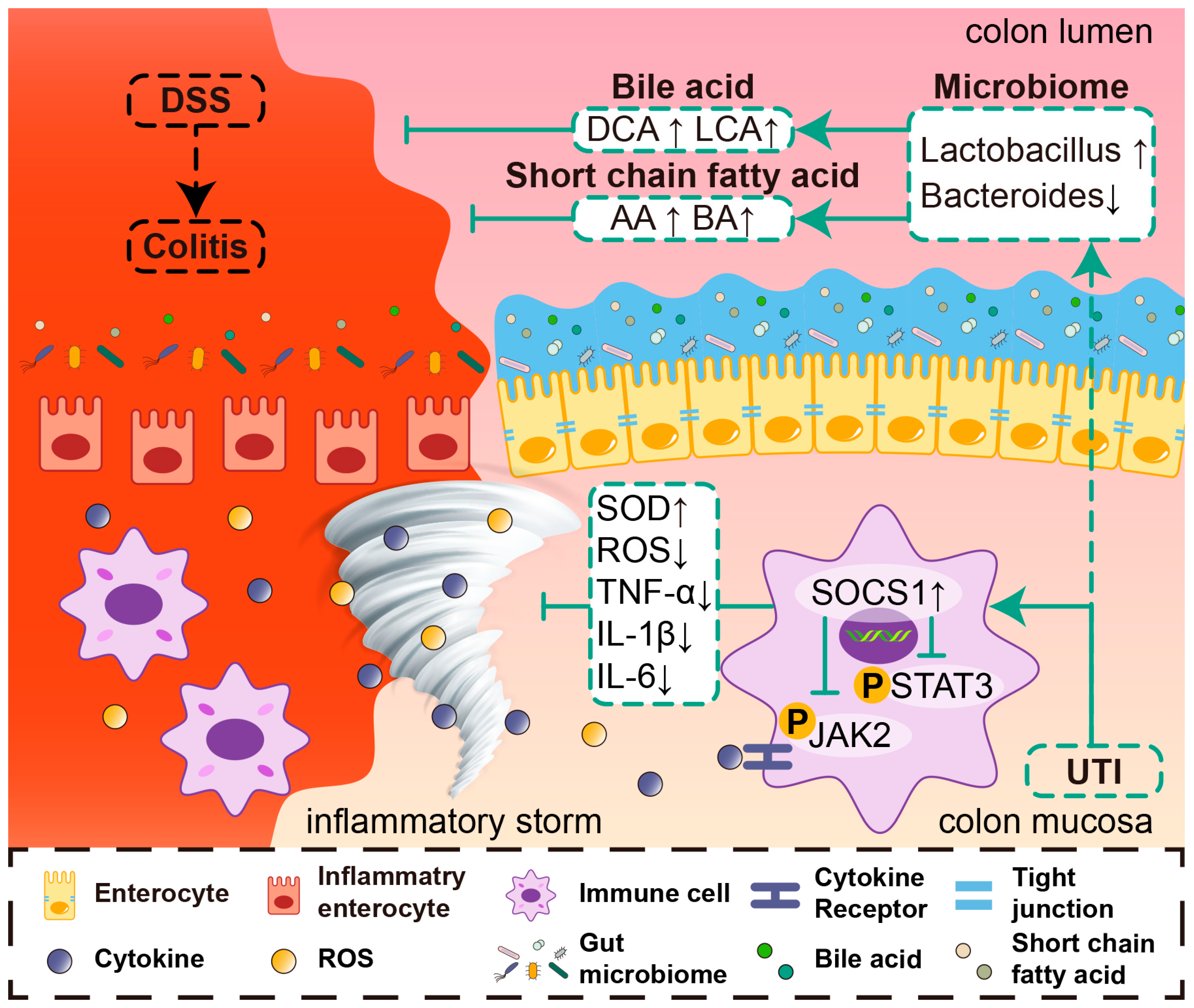 Antioxidants 13 00214 g009