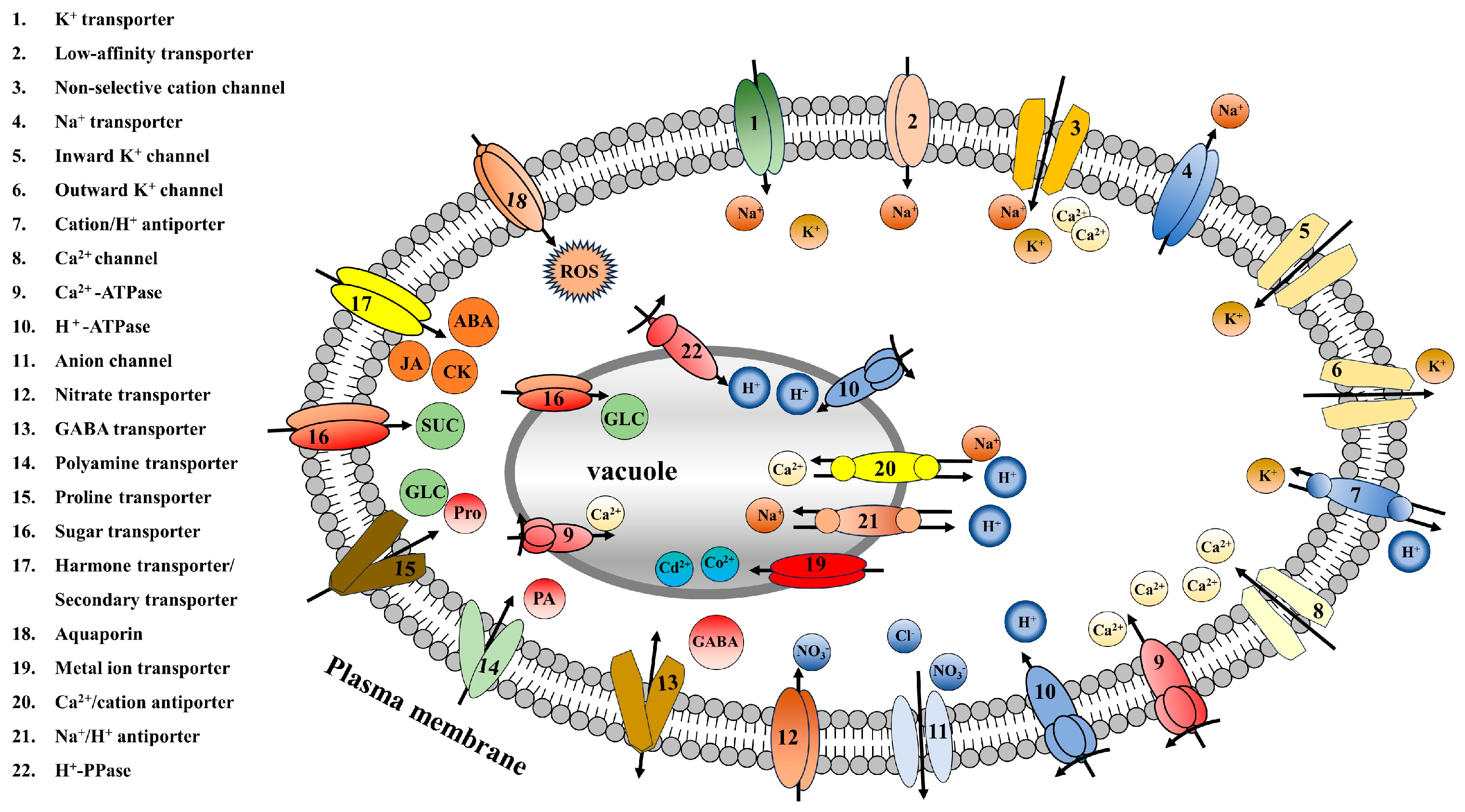 Antioxidants 13 00221 g001