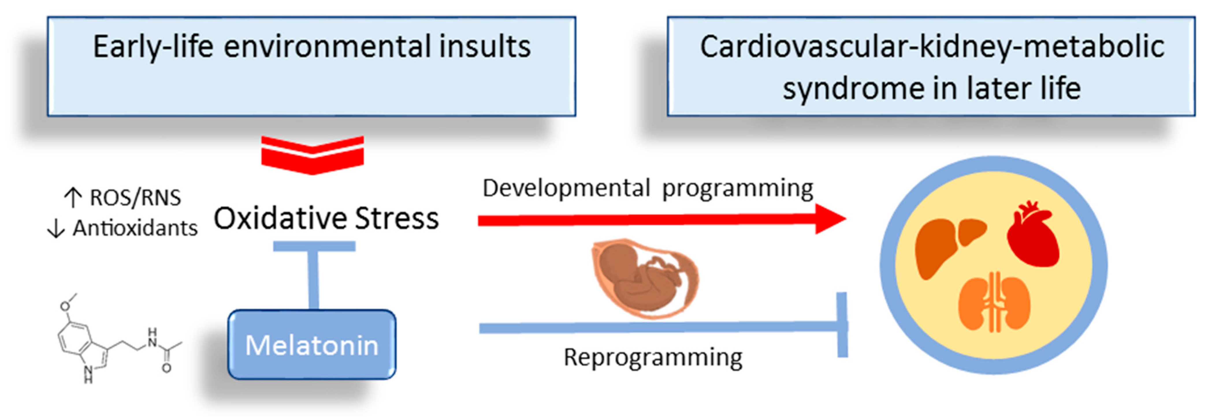 Antioxidants 13 00226 g002 Antioxidants 13 00226 g002