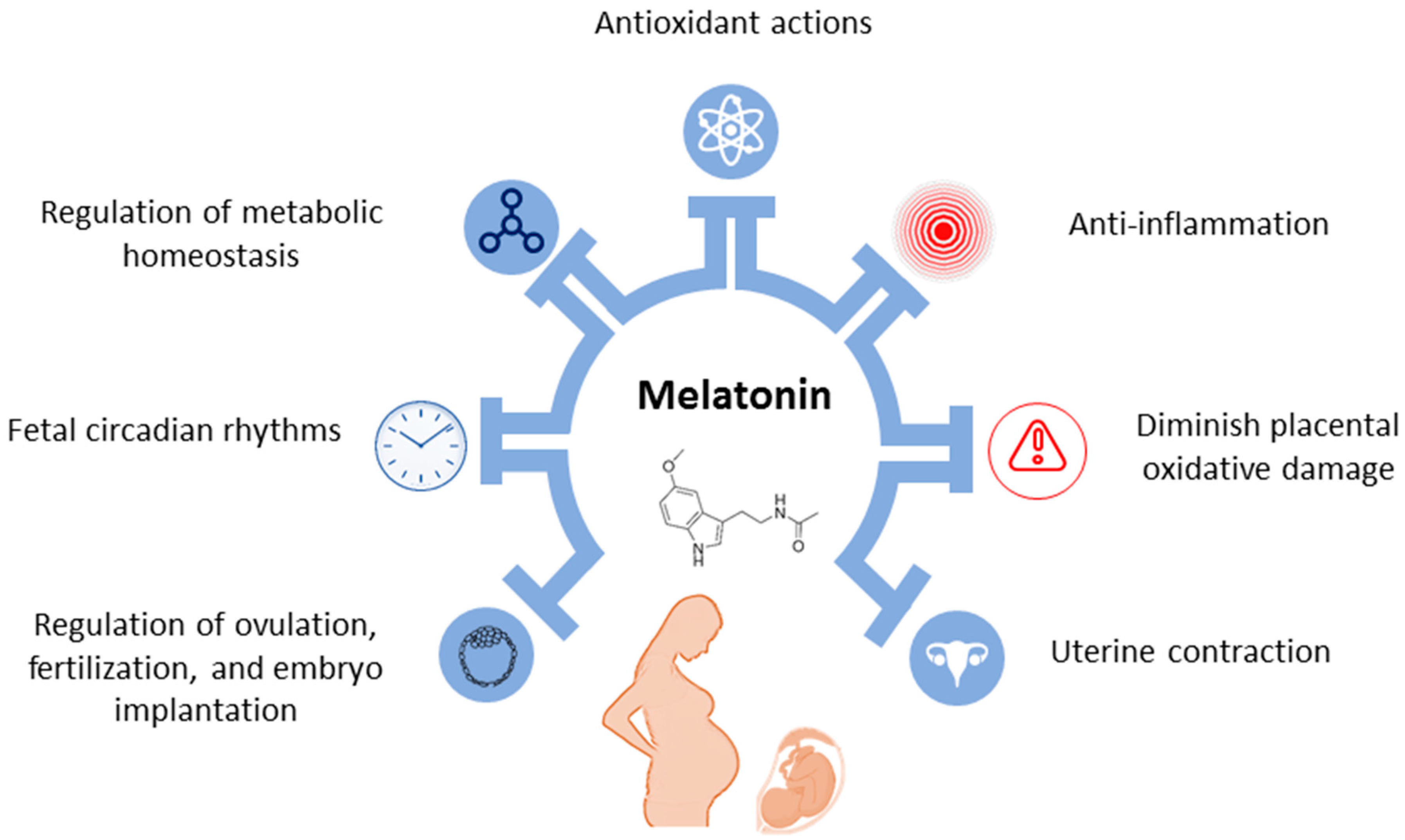 Antioxidants 13 00226 g003 Antioxidants 13 00226 g003