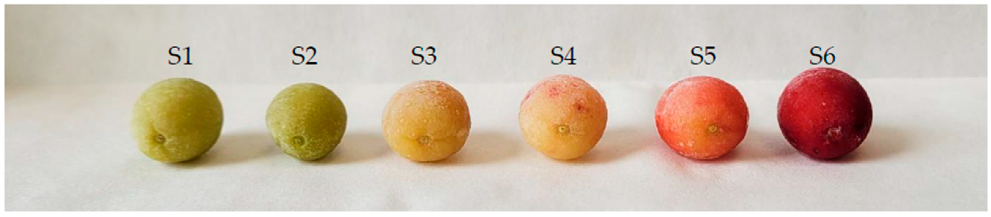 Antioxidants 13 00229 g001