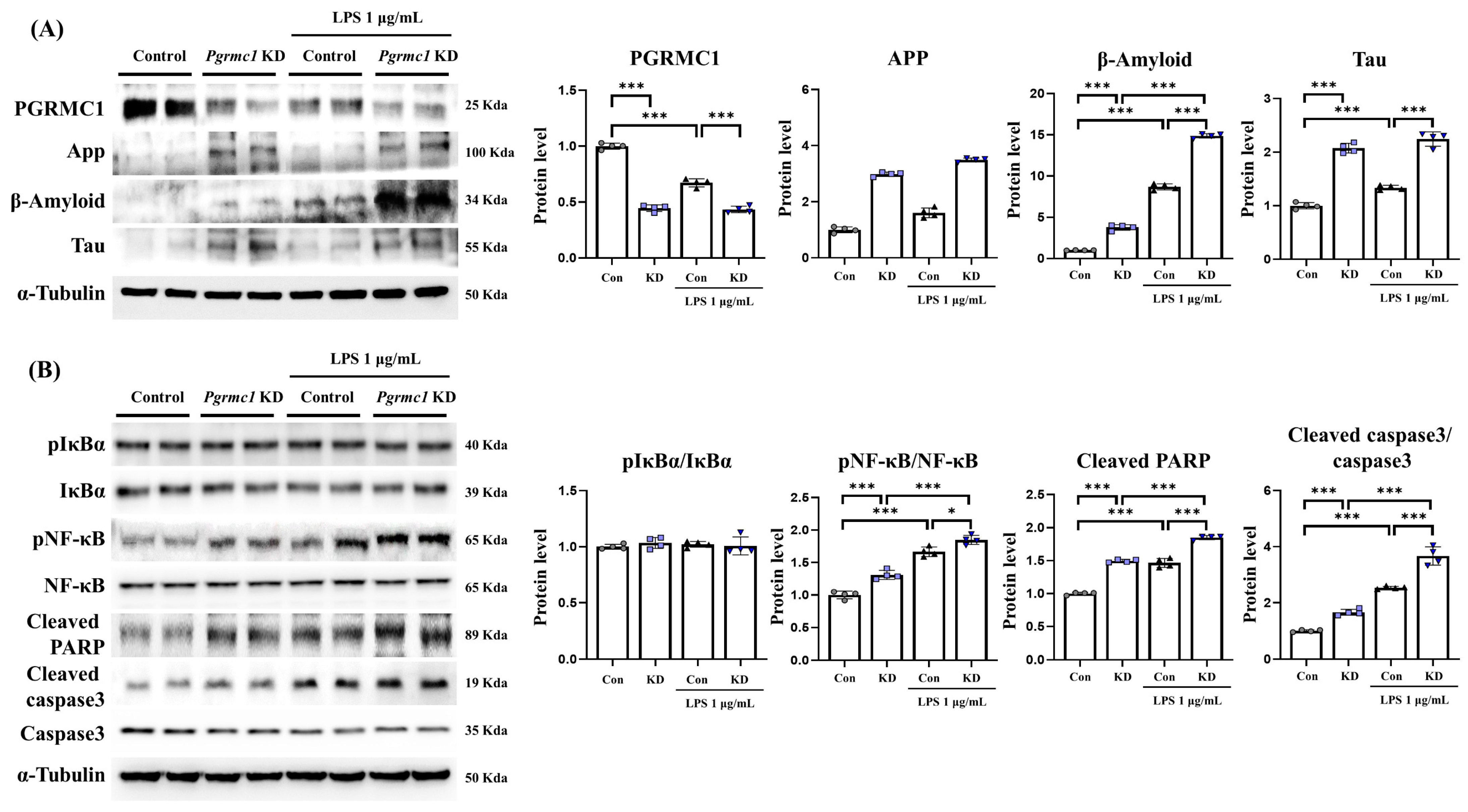 Antioxidants 13 00230 g004