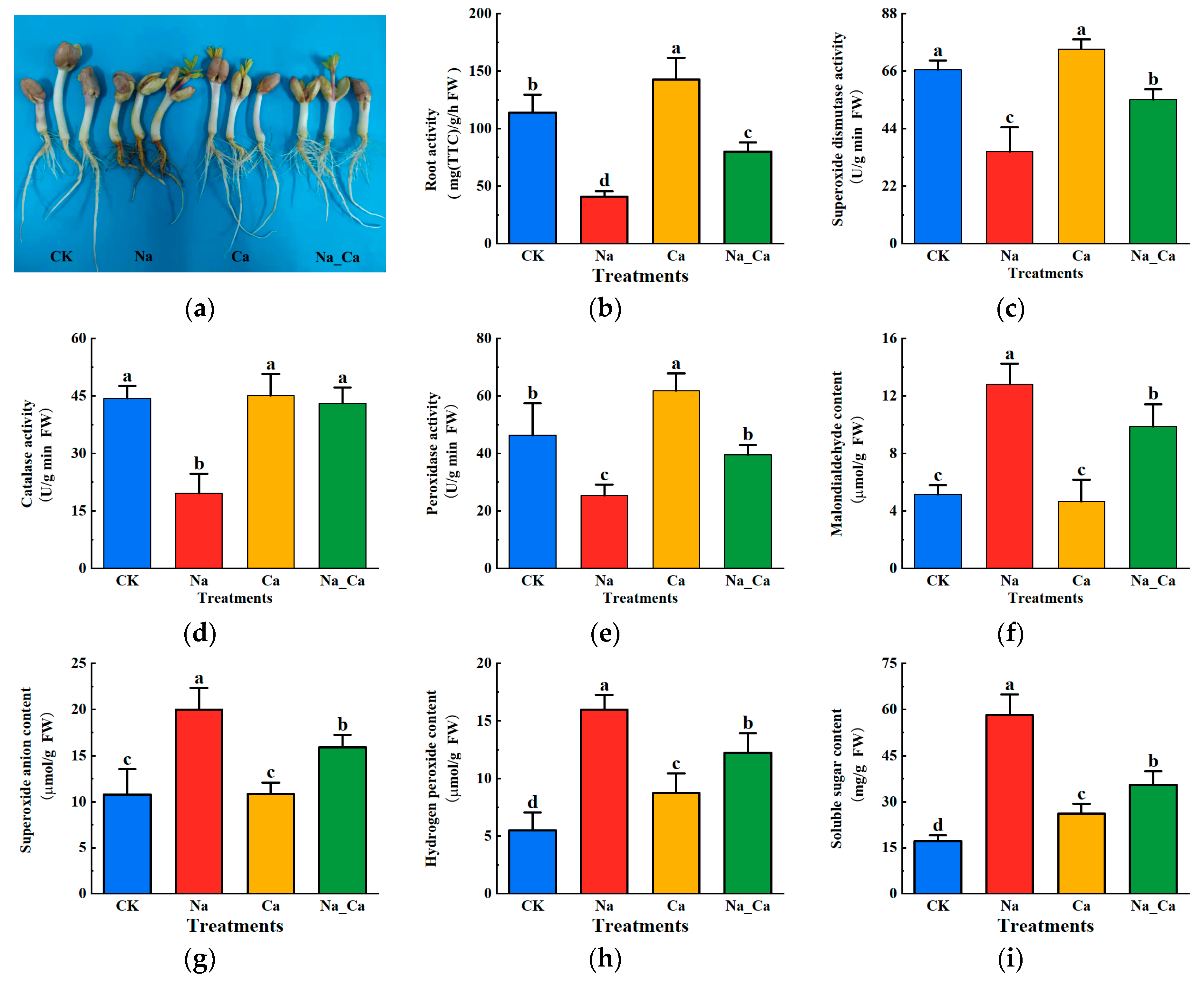 Antioxidants 13 00233 g001