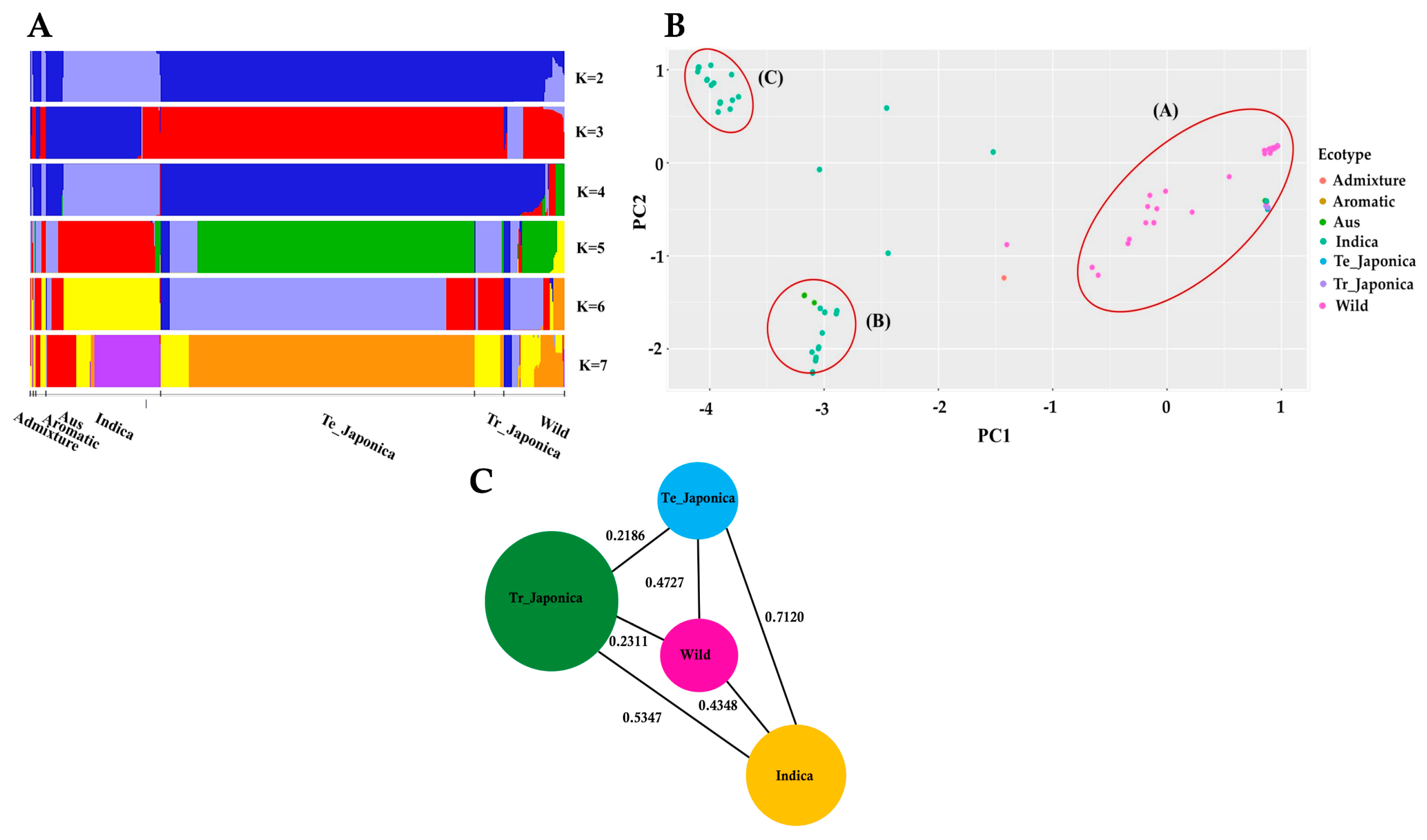 Antioxidants 13 00234 g002