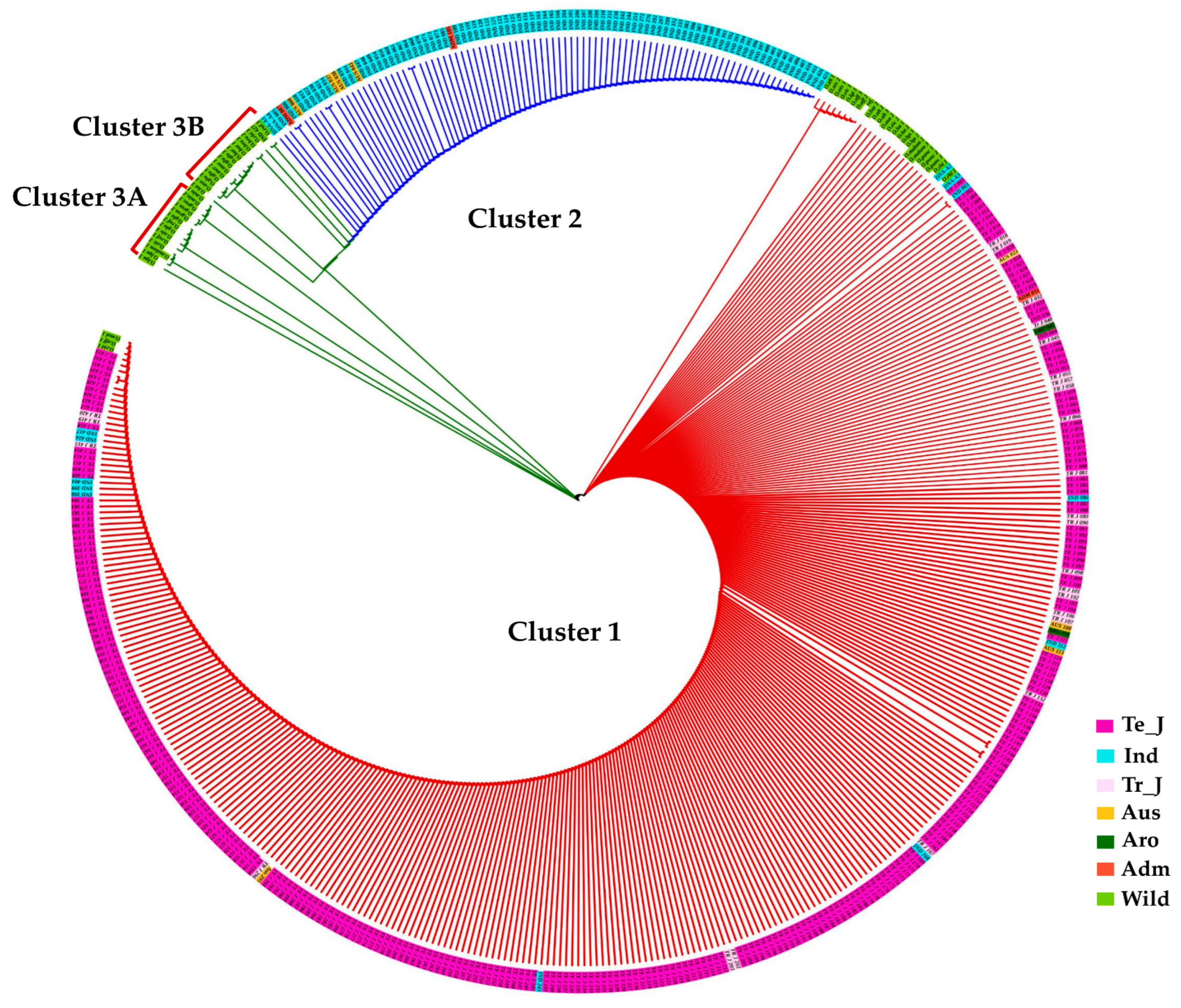 Antioxidants 13 00234 g005