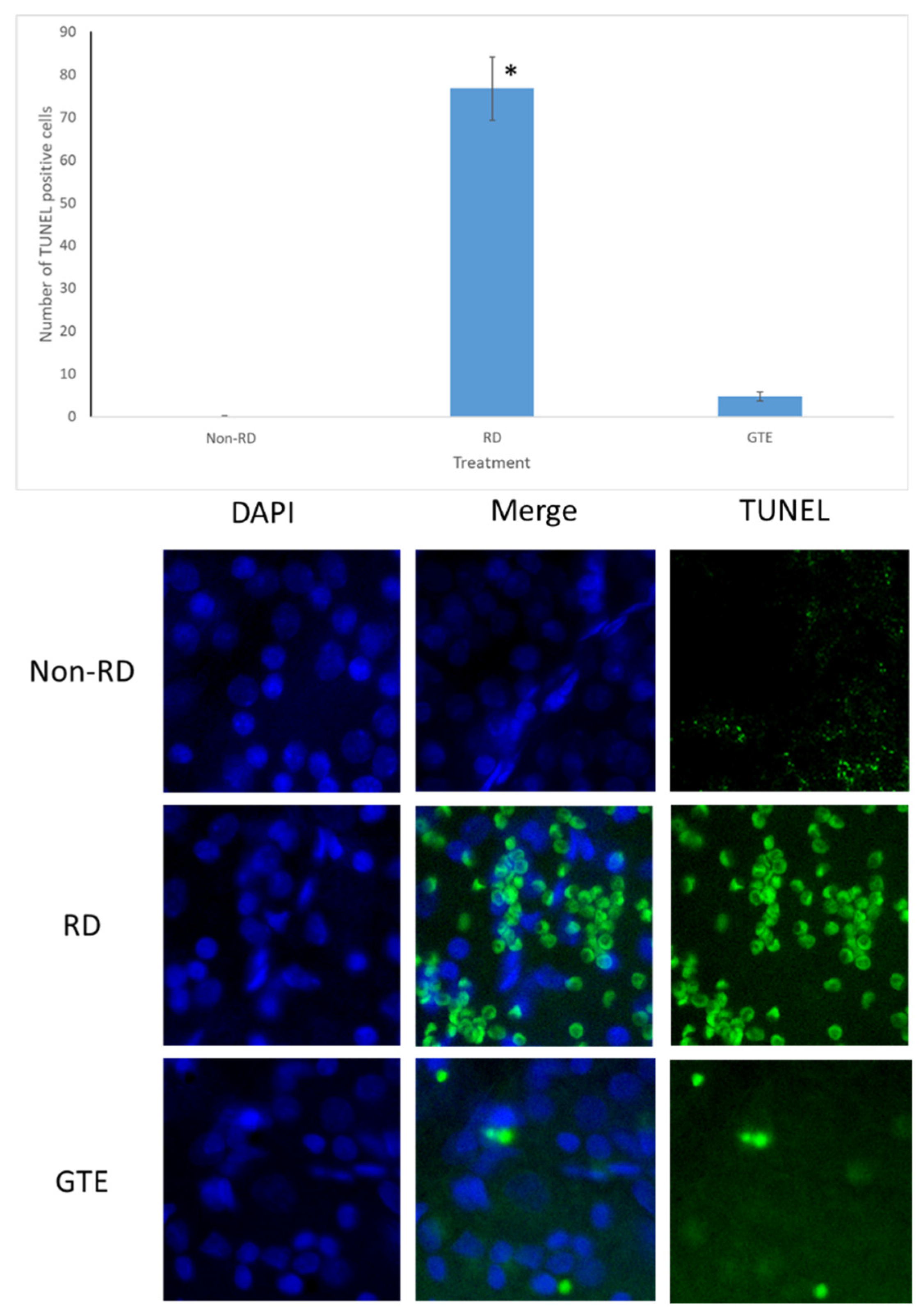 Antioxidants 13 00235 g005