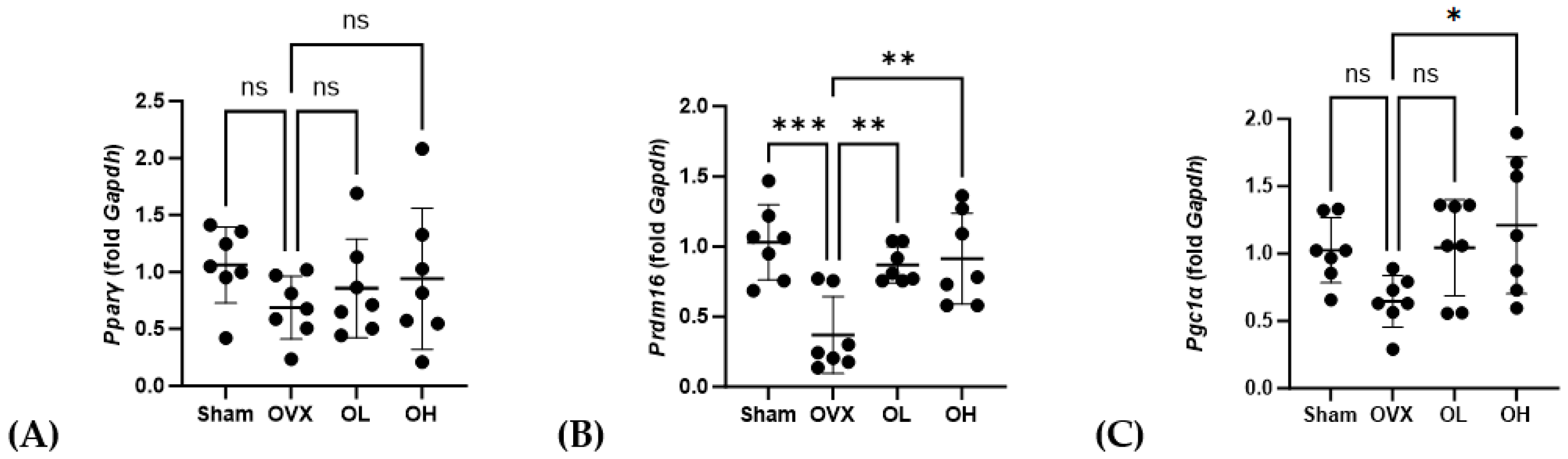Antioxidants 13 00241 g016