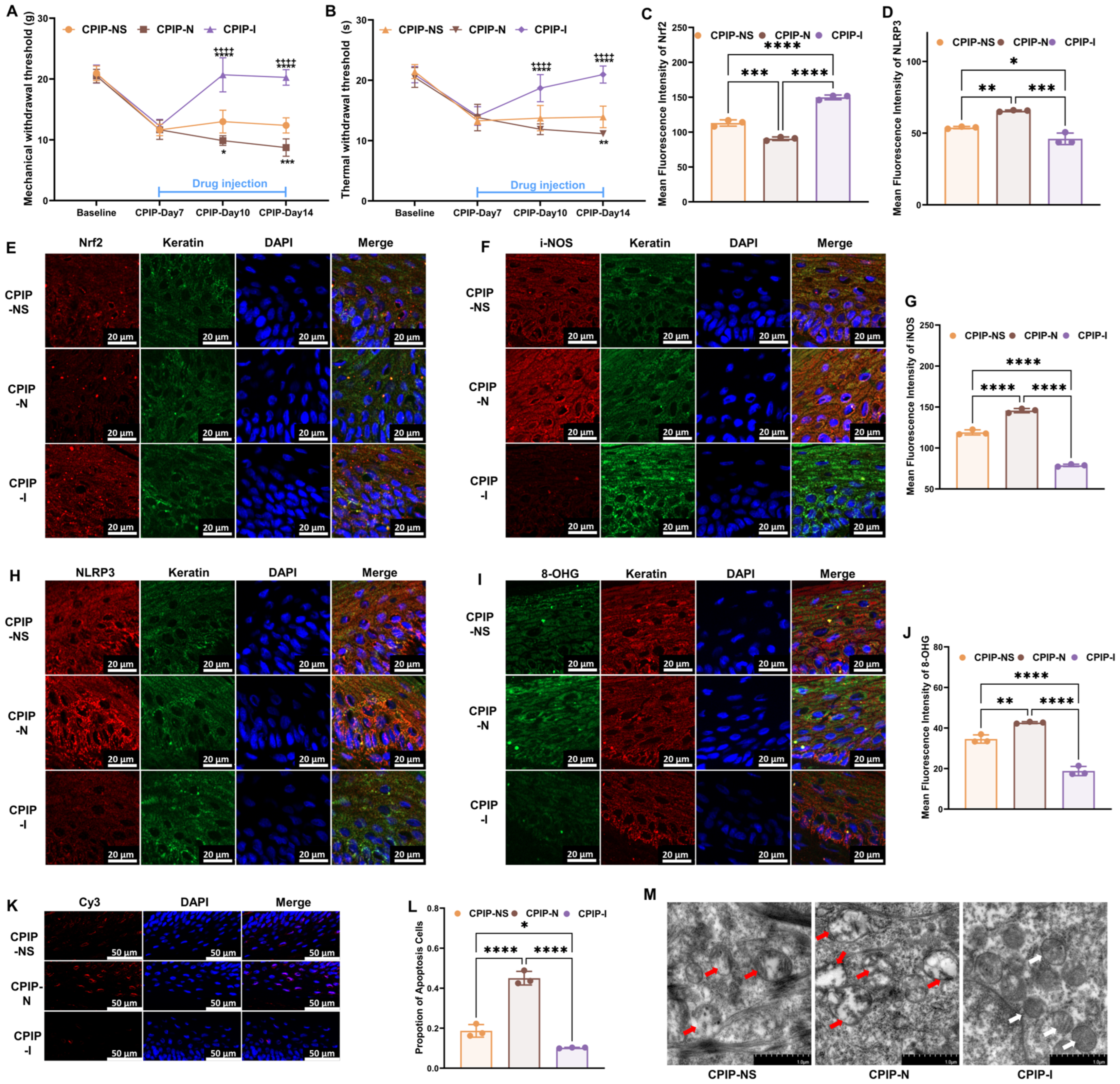 Antioxidants 13 00244 g003 Antioxidants 13 00244 g003