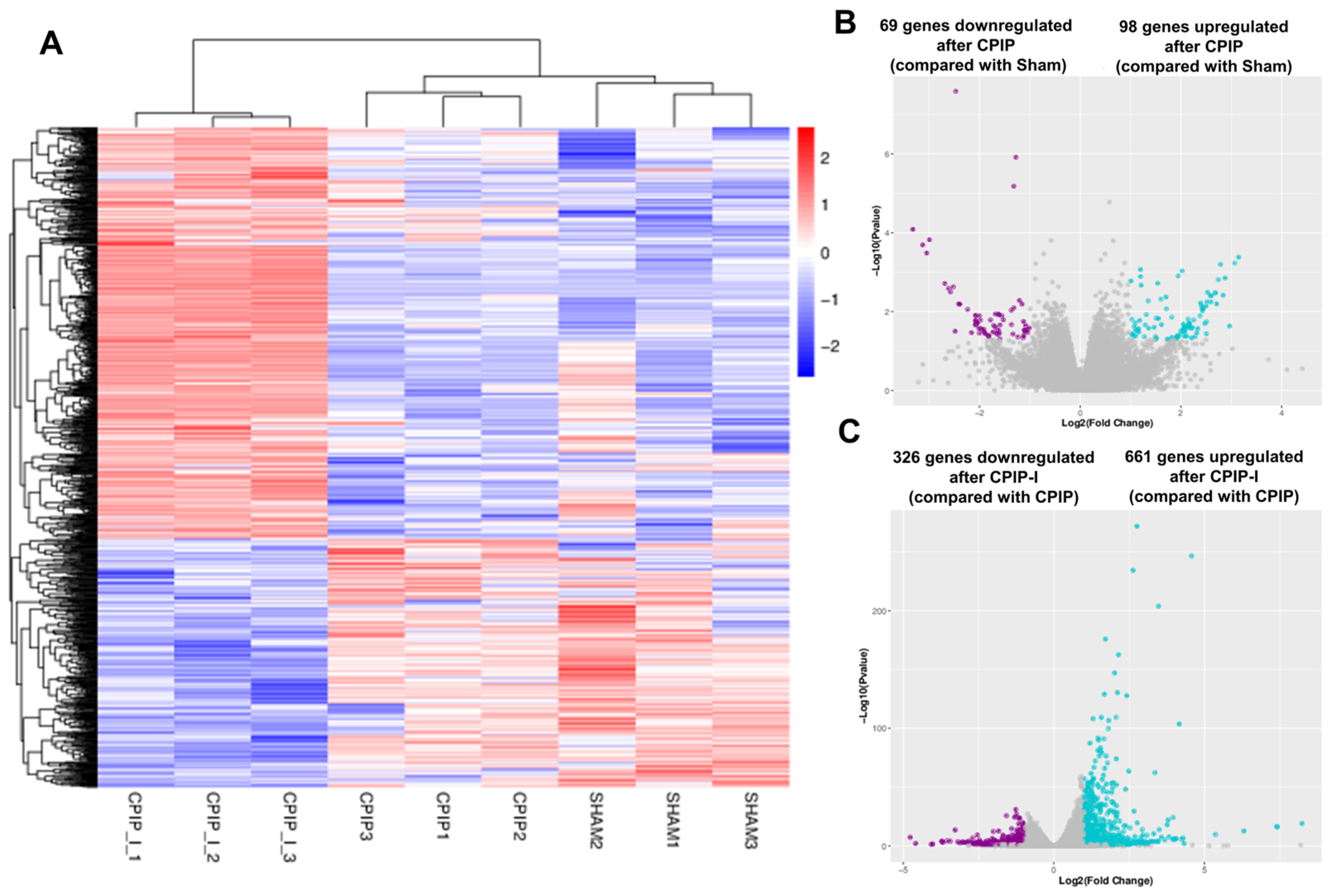 Antioxidants 13 00244 g005 Antioxidants 13 00244 g005