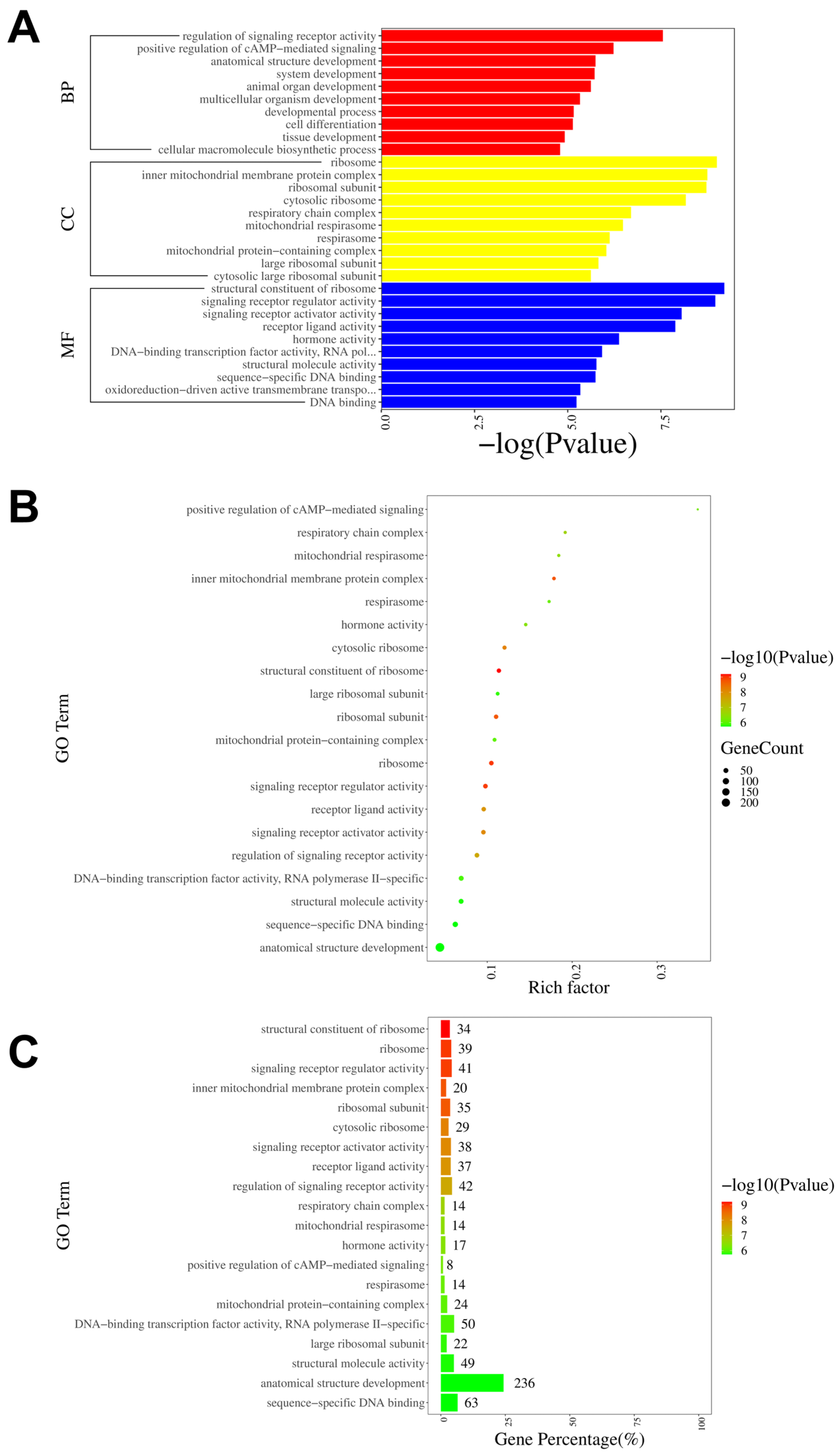 Antioxidants 13 00244 g007 Antioxidants 13 00244 g007