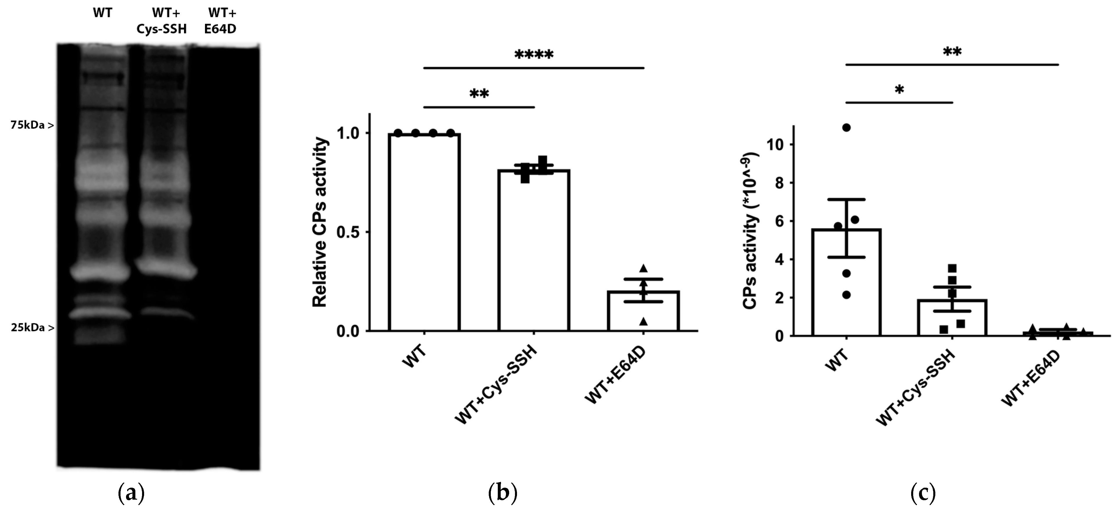 Antioxidants 13 00245 g006 Antioxidants 13 00245 g006