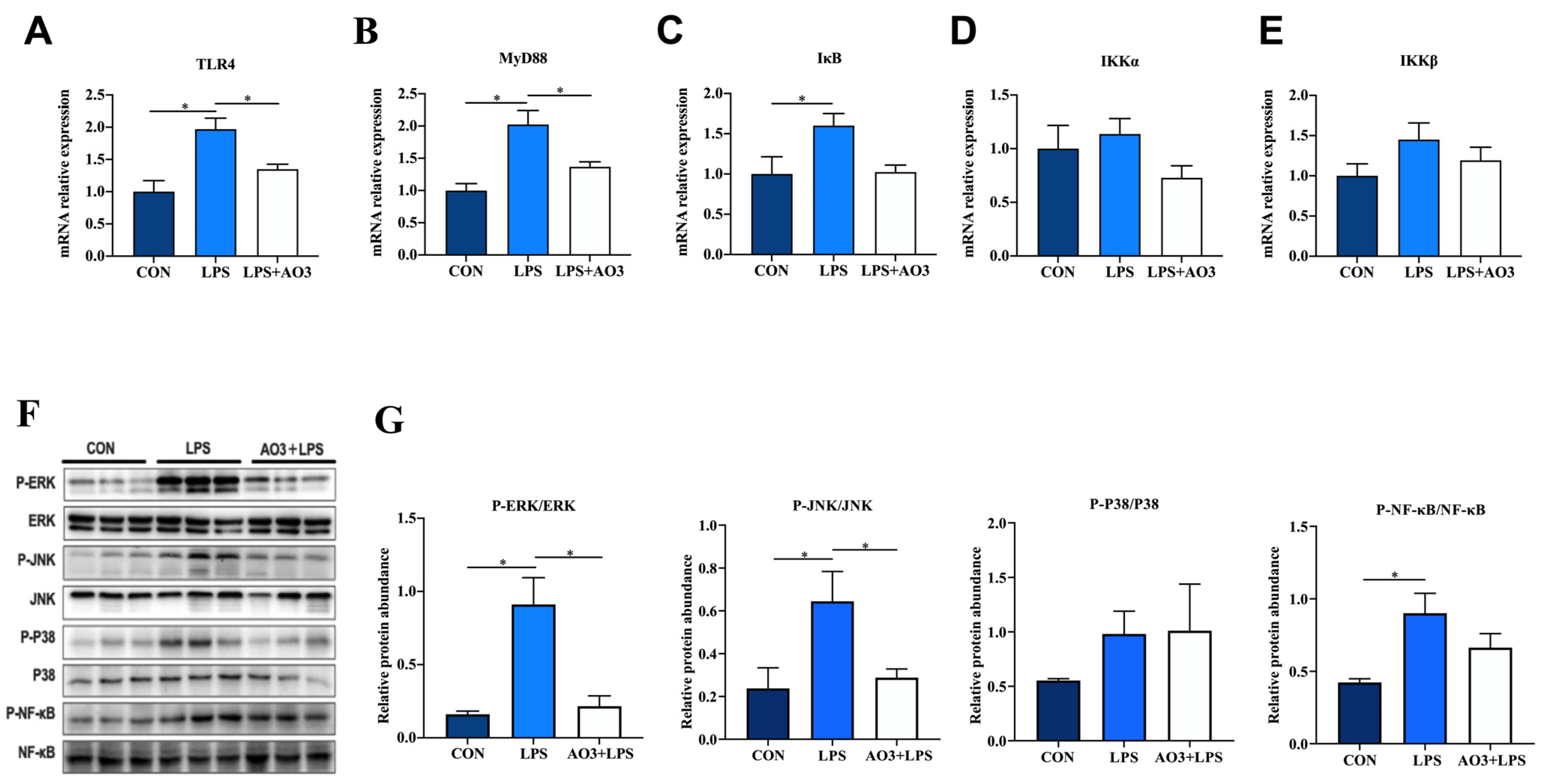 Antioxidants 13 00246 g005