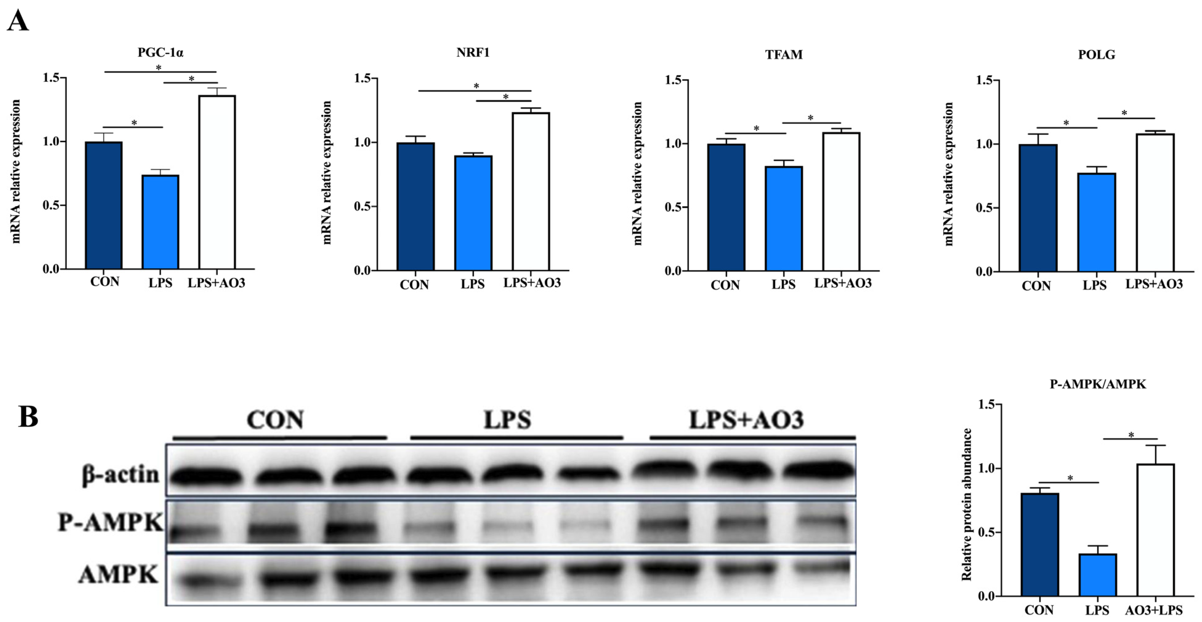 Antioxidants 13 00246 g007