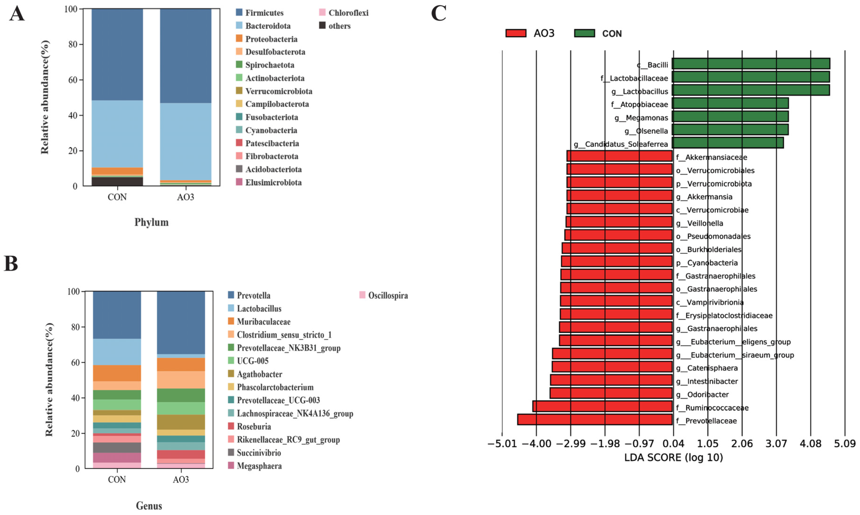 Antioxidants 13 00246 g009