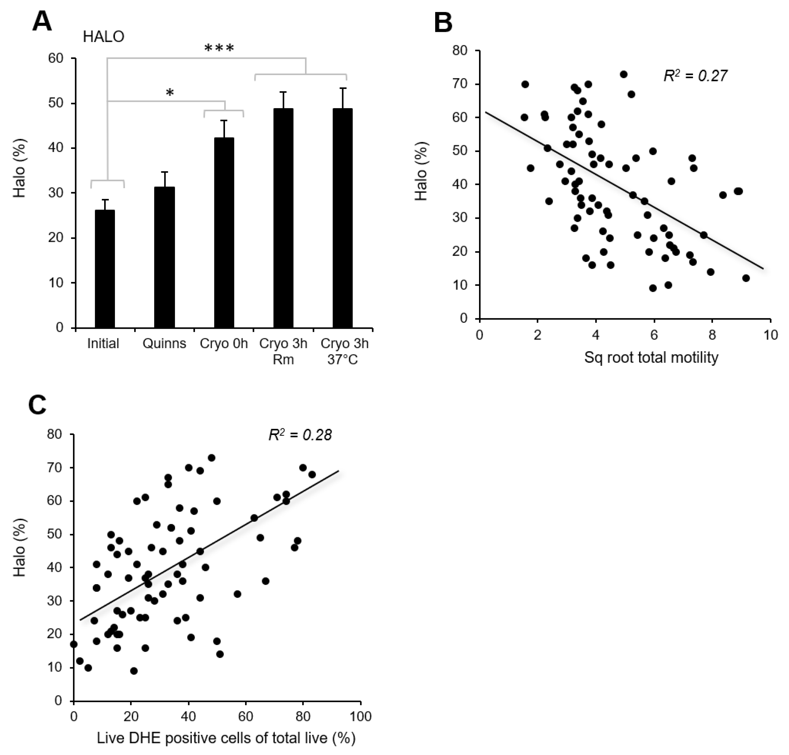 Antioxidants 13 00247 g006 Antioxidants 13 00247 g006