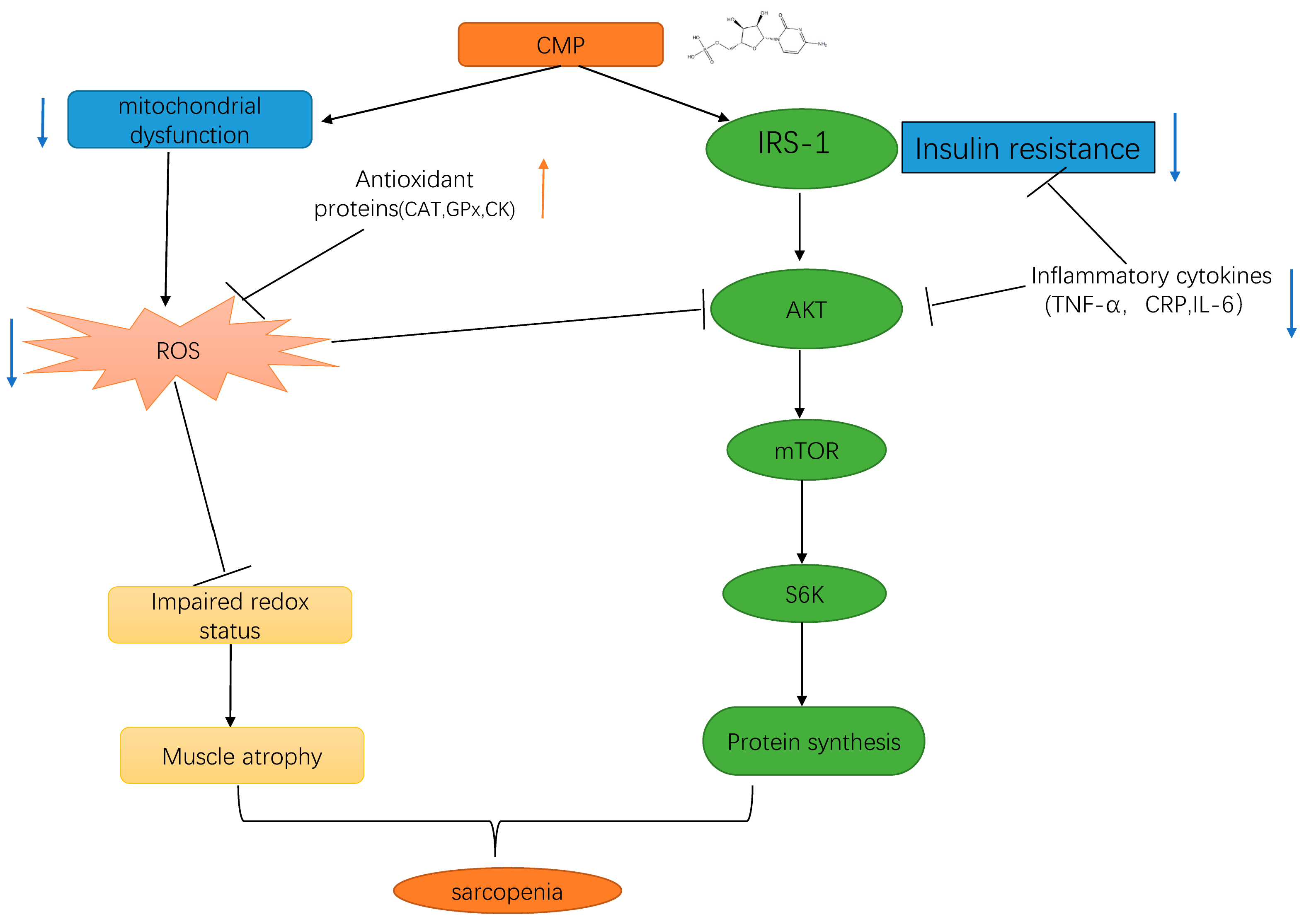 Antioxidants 13 00249 g008