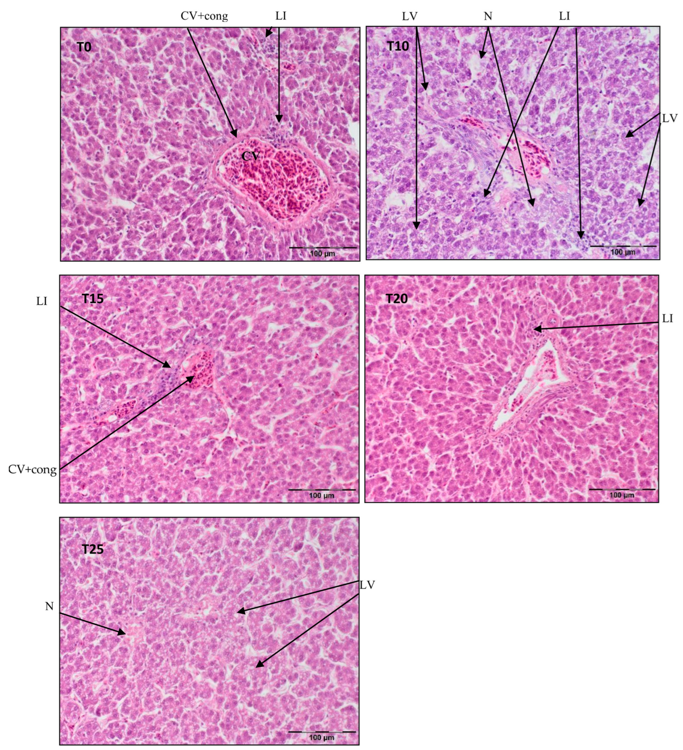 Antioxidants 13 00251 g002