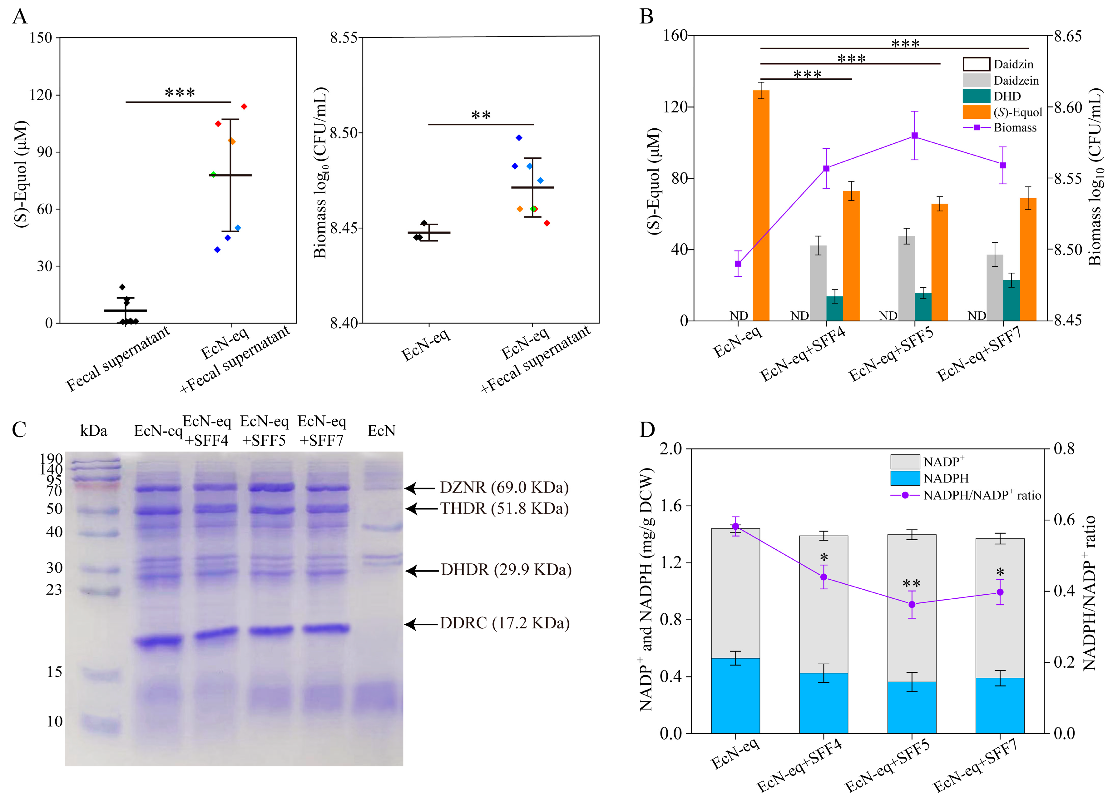 Antioxidants 13 00259 g002