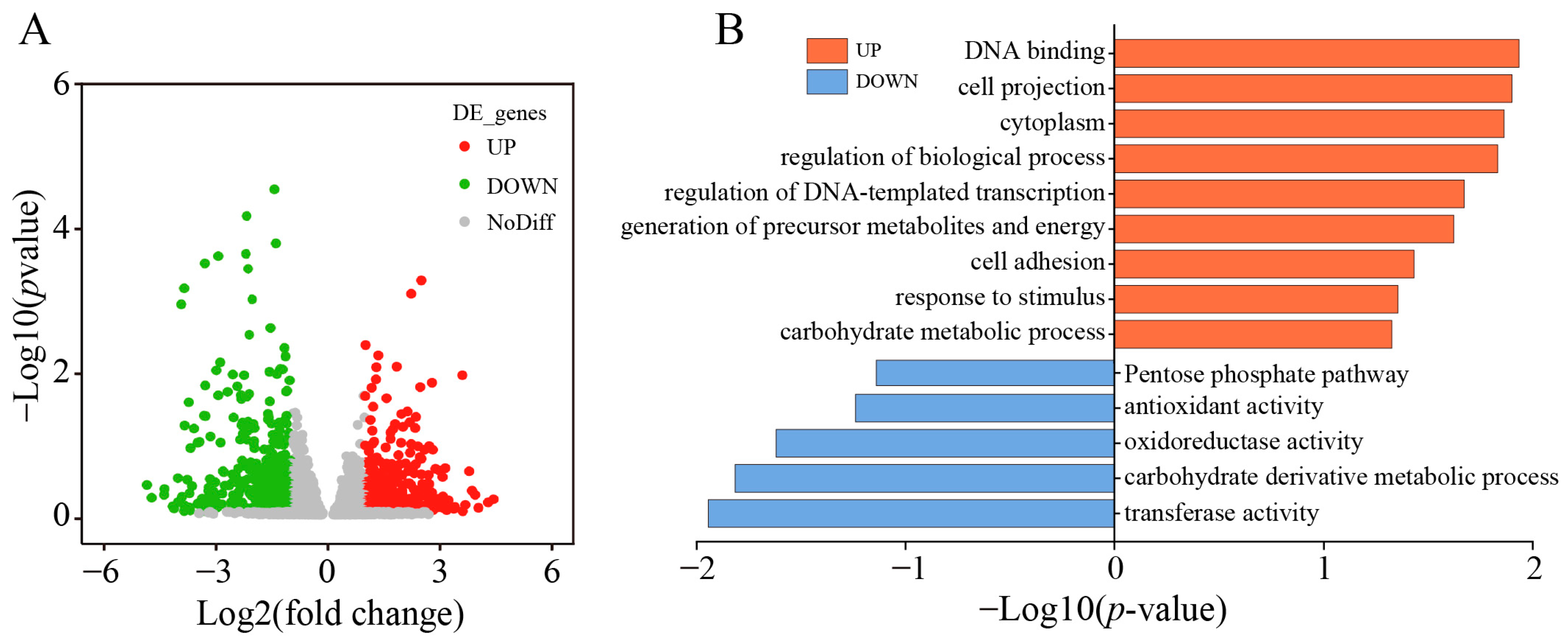 Antioxidants 13 00259 g003