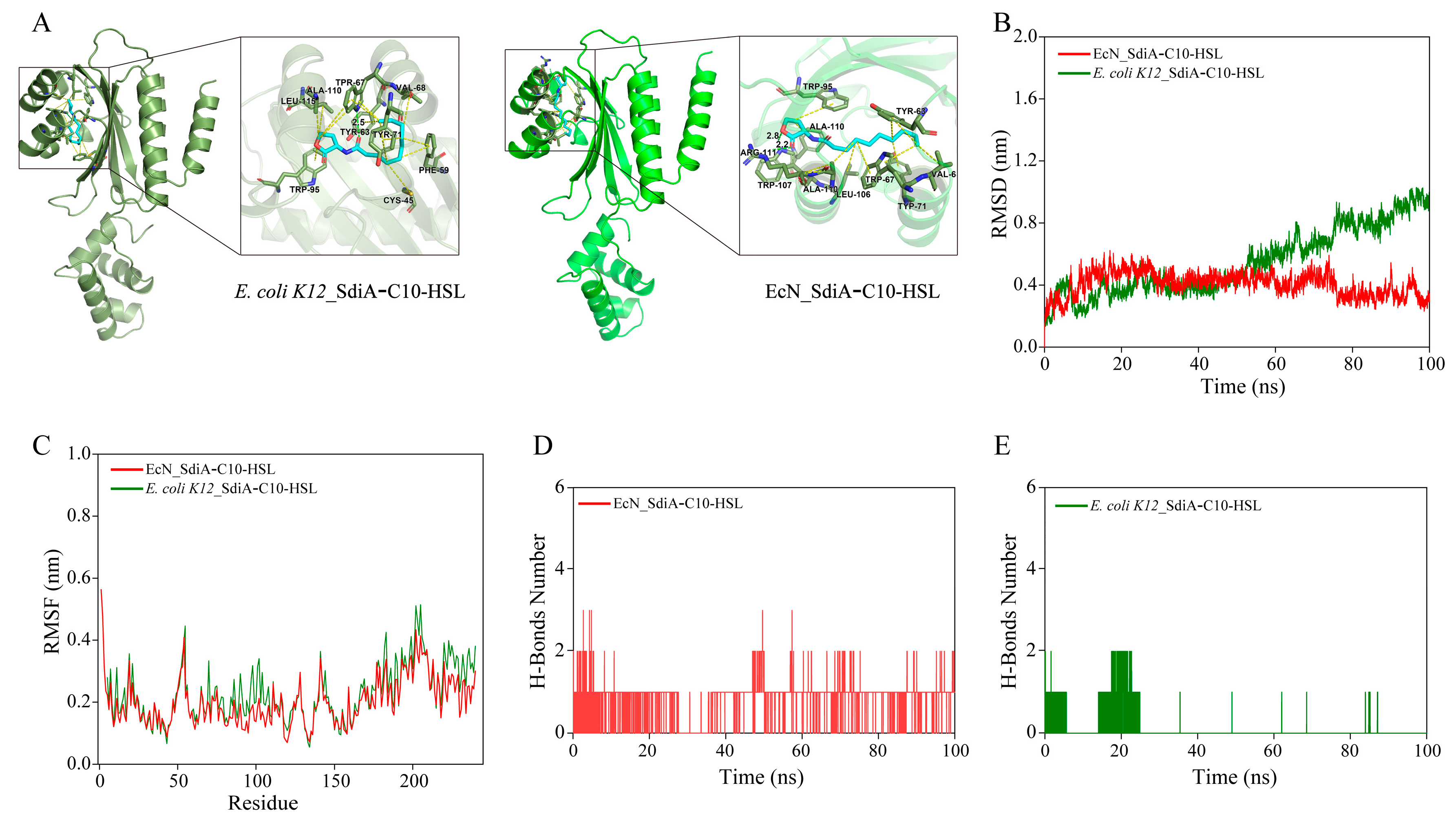 Antioxidants 13 00259 g005