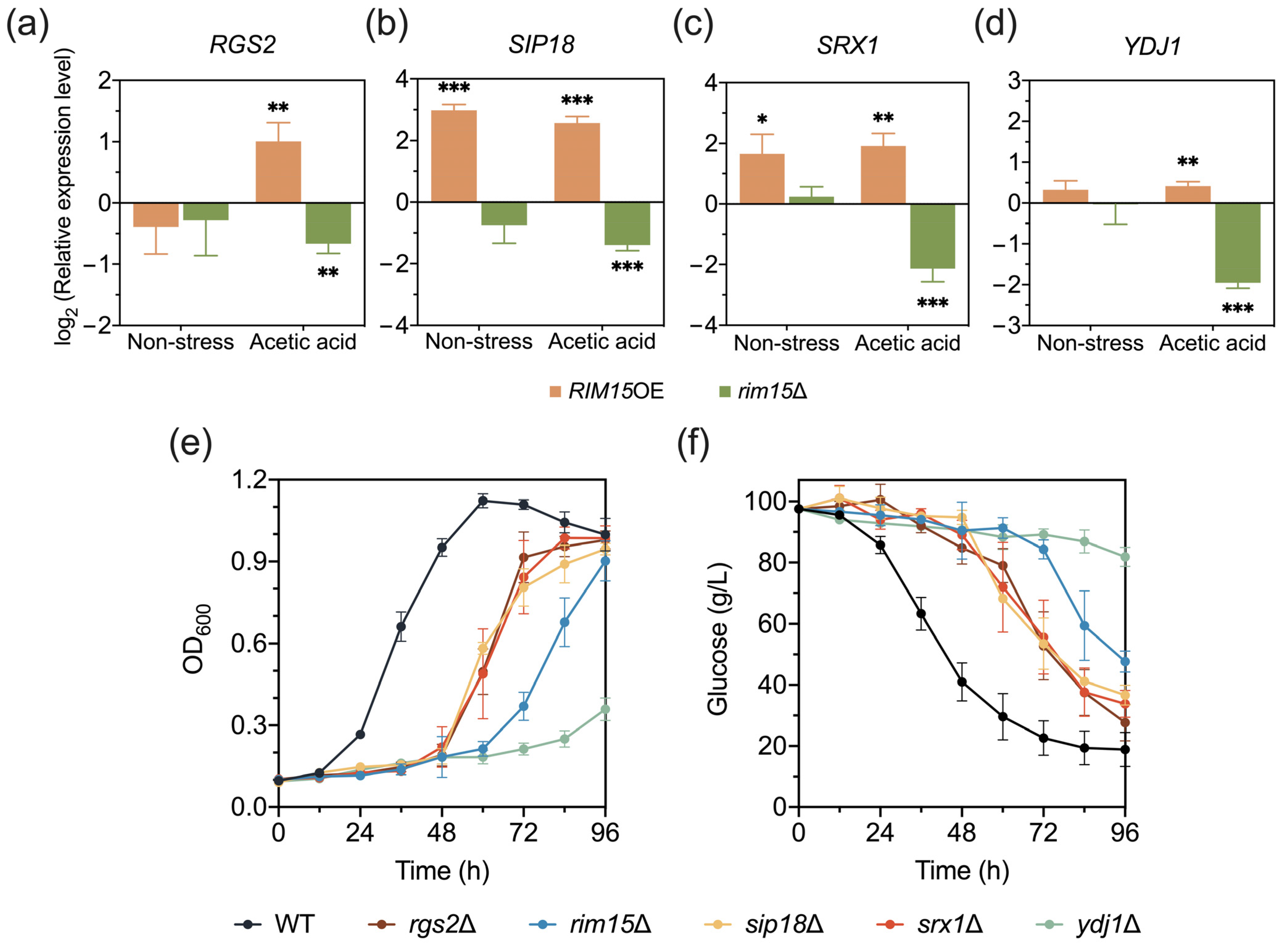 Antioxidants 13 00260 g003