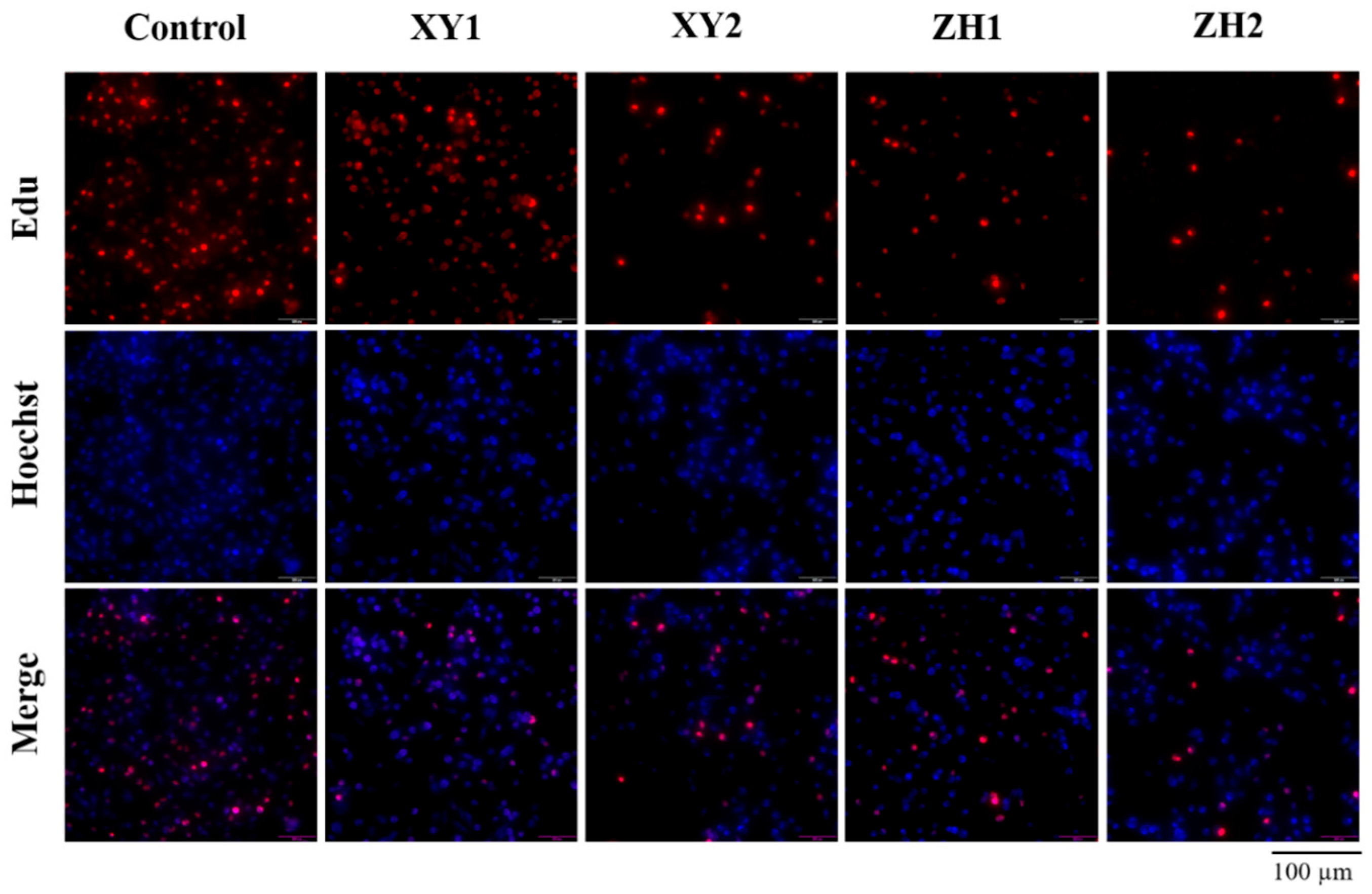 Antioxidants 13 00264 g002 Antioxidants 13 00264 g002