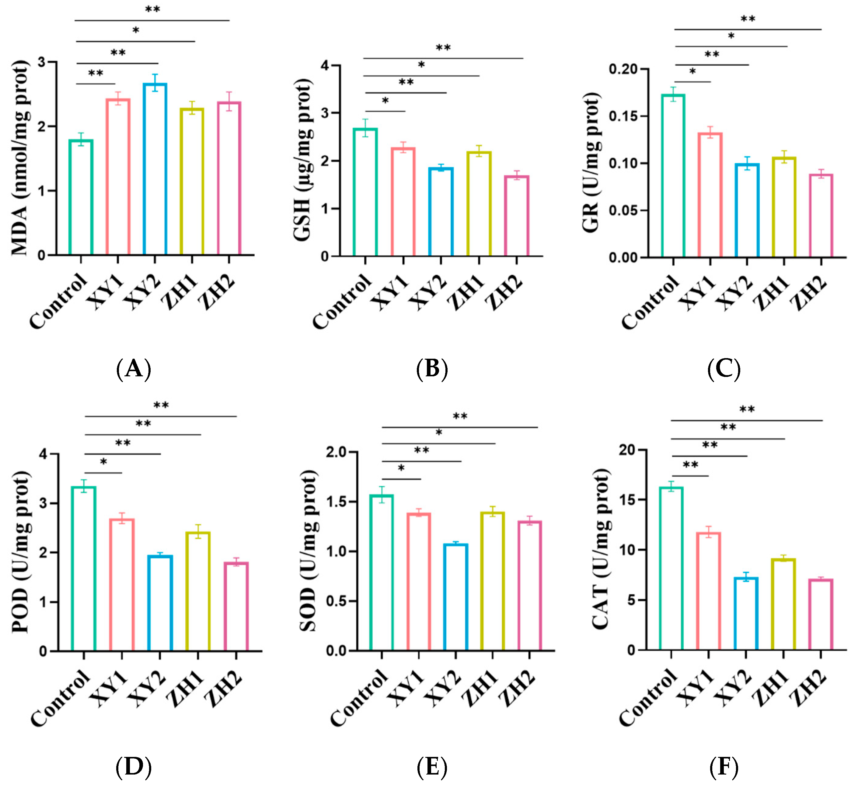 Antioxidants 13 00264 g006 Antioxidants 13 00264 g006