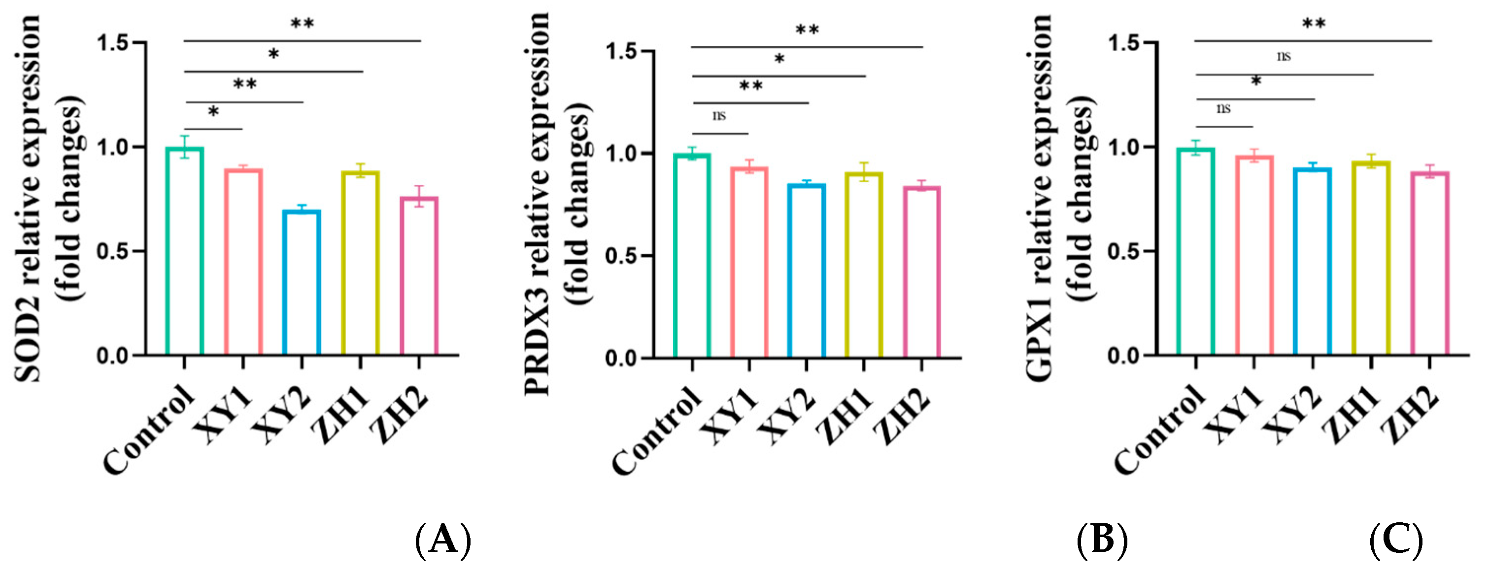 Antioxidants 13 00264 g007 Antioxidants 13 00264 g007