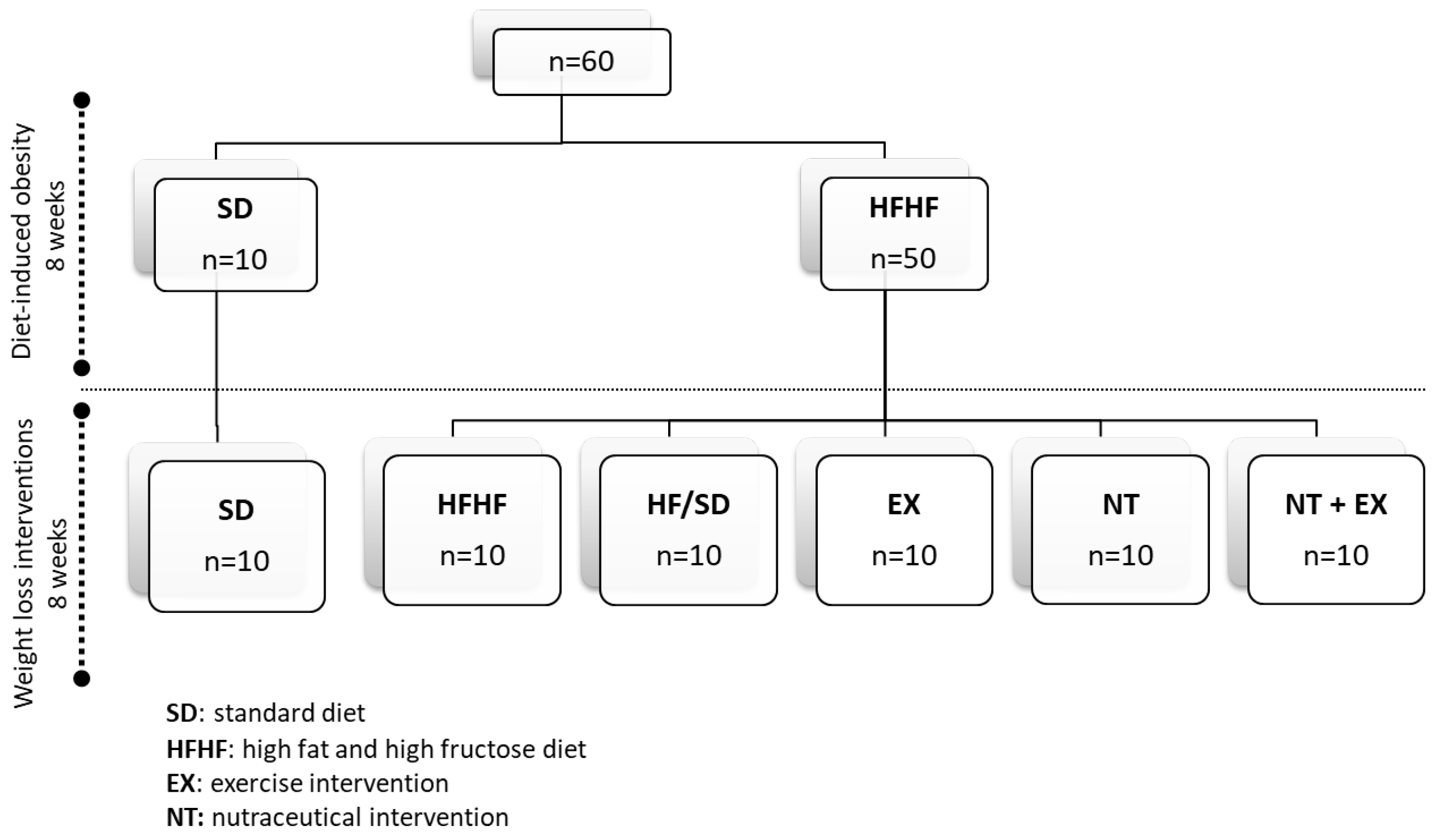 Antioxidants 13 00274 g001
