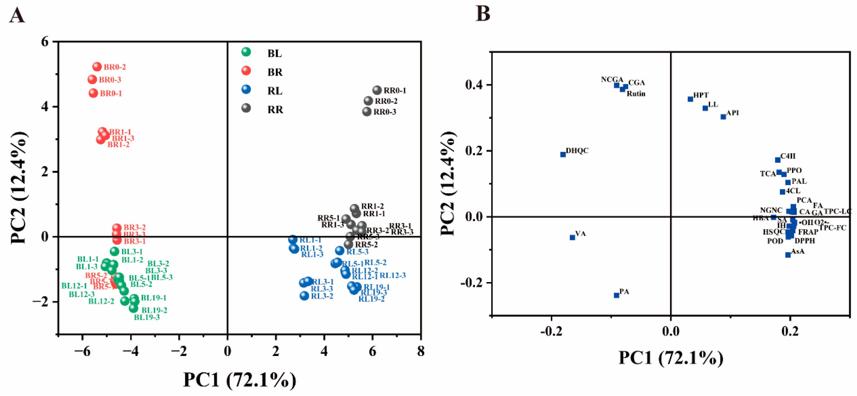 Antioxidants 13 00279 g001