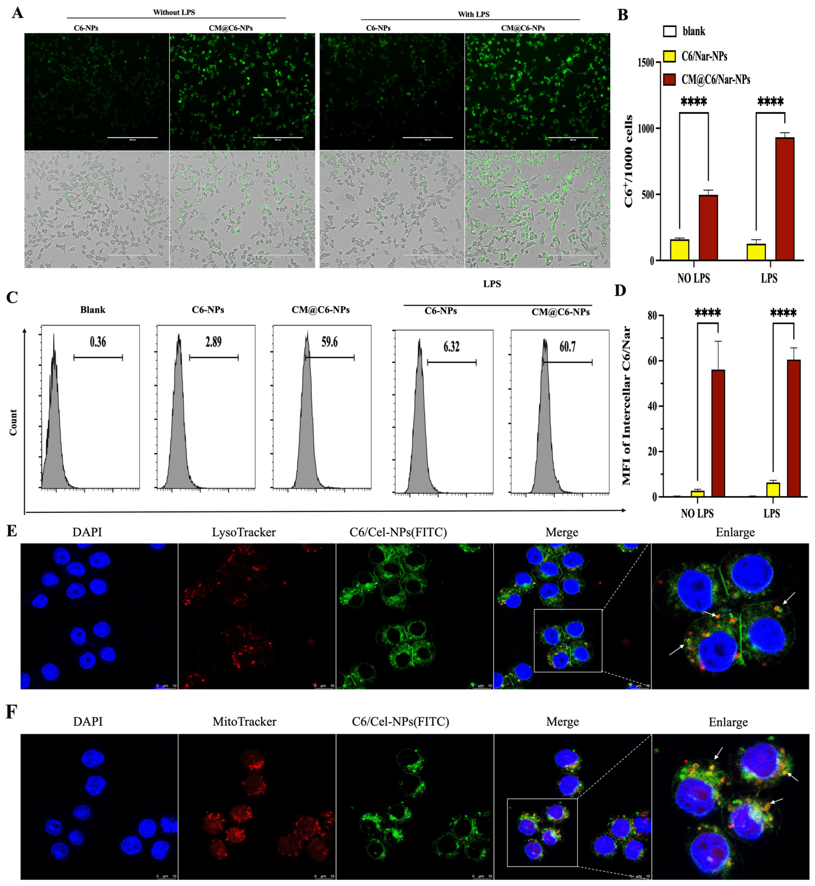 Antioxidants 13 00282 g004