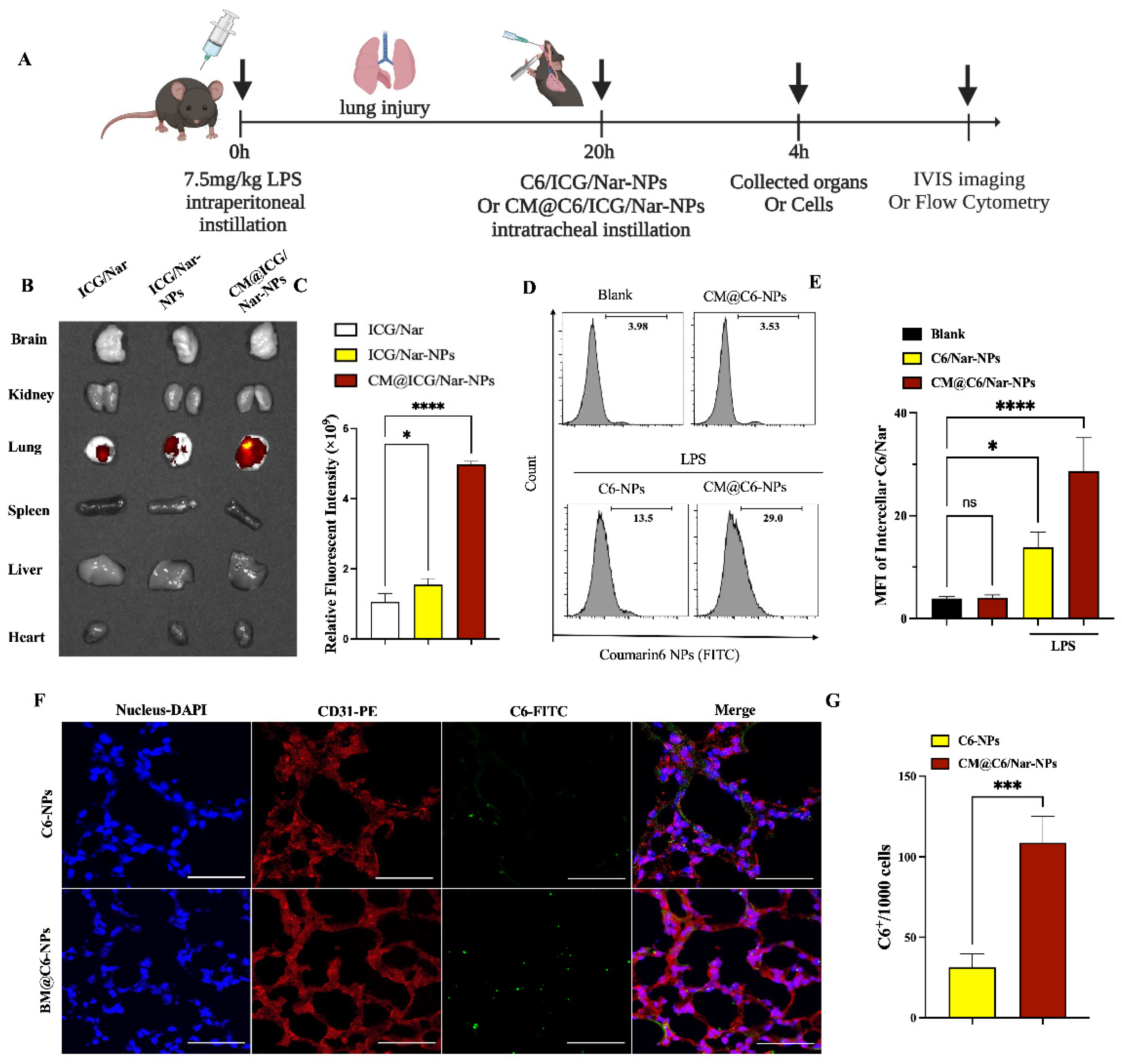 Antioxidants 13 00282 g005