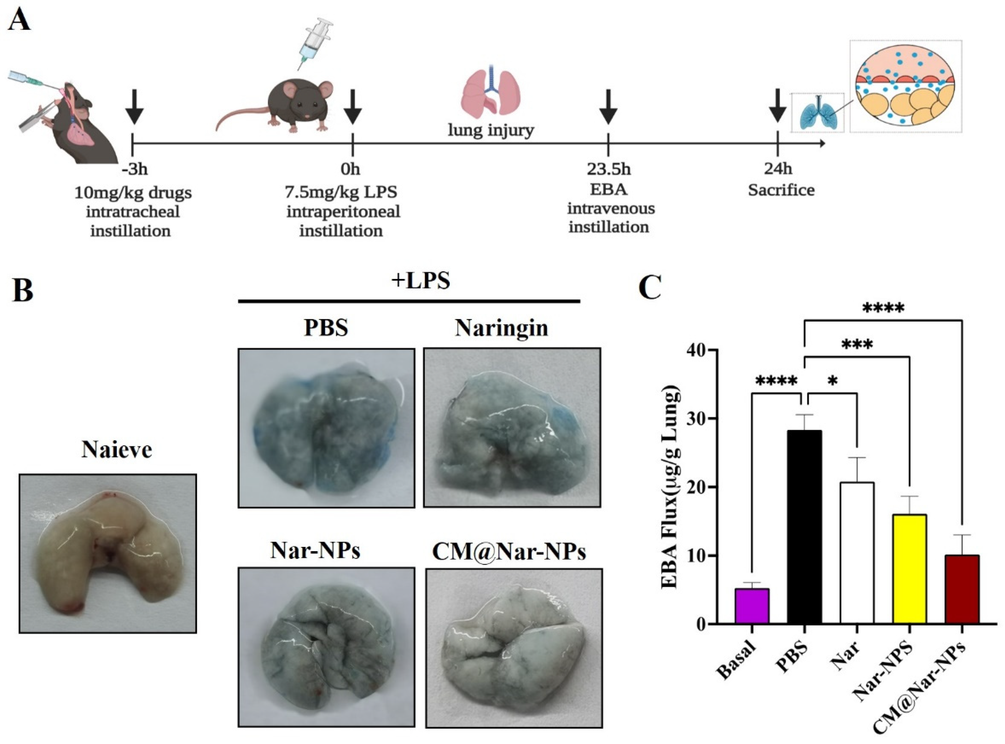 Antioxidants 13 00282 g006