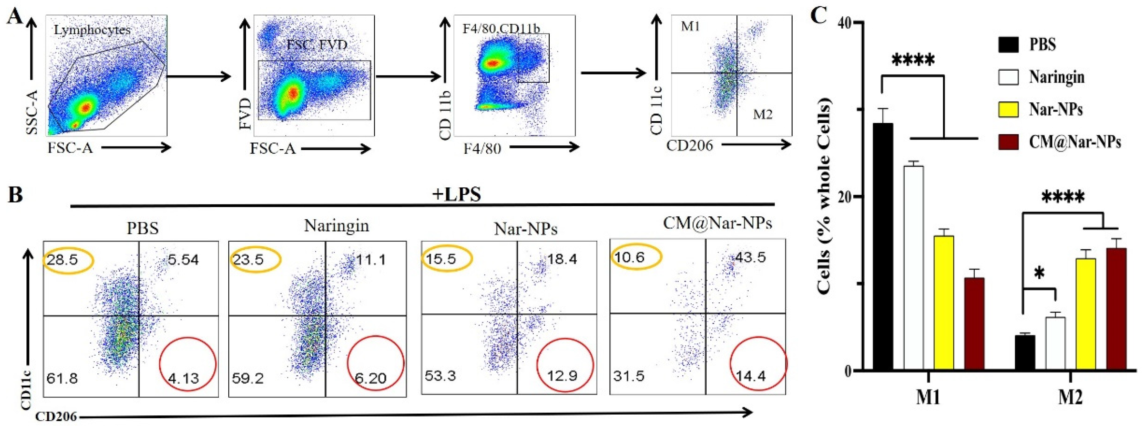 Antioxidants 13 00282 g010