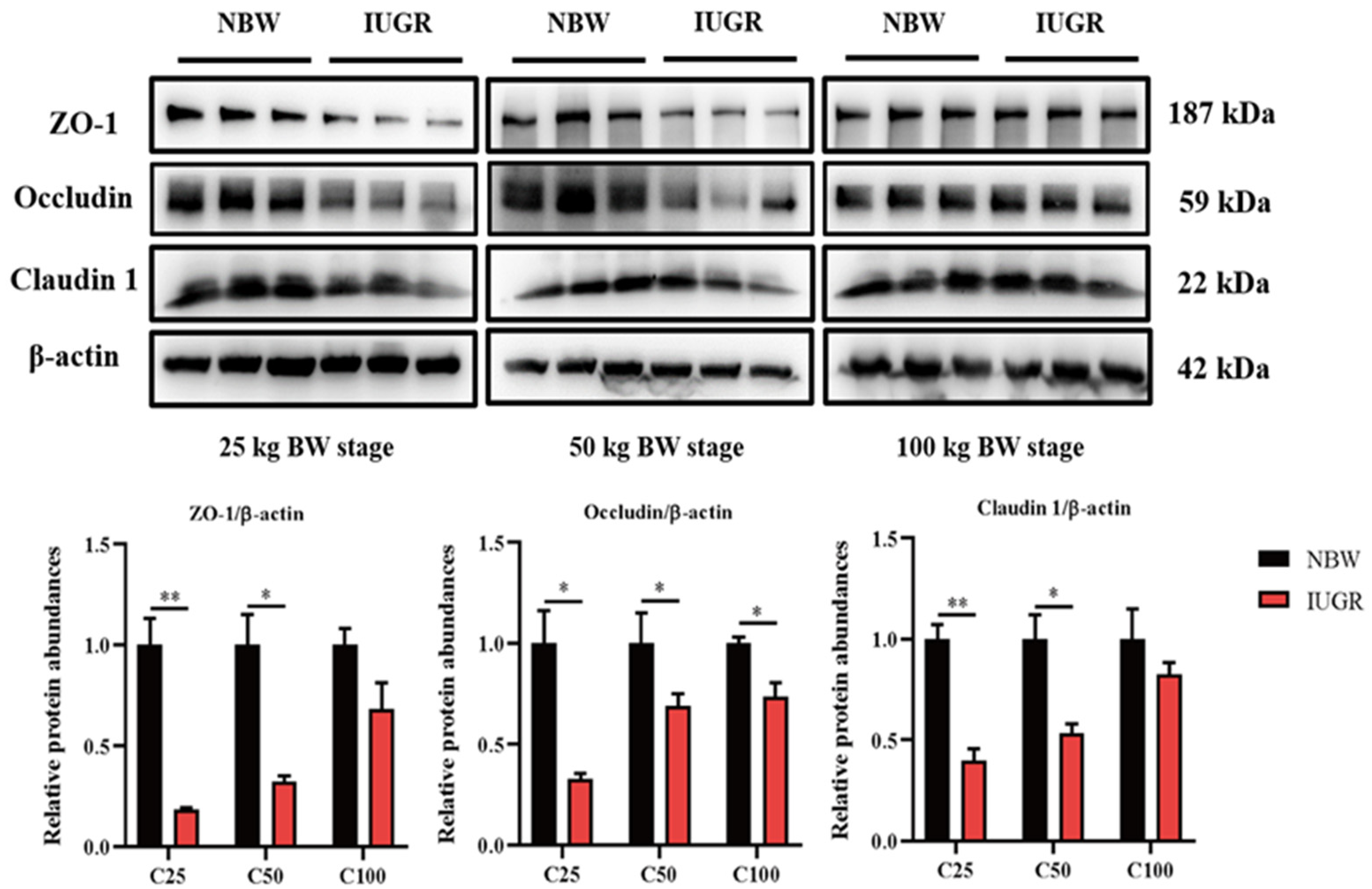 Antioxidants 13 00283 g002 Antioxidants 13 00283 g002