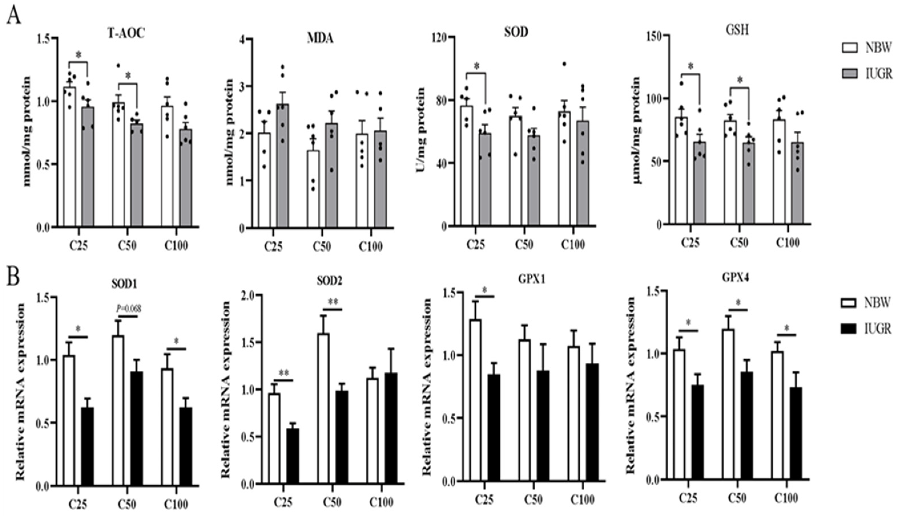 Antioxidants 13 00283 g003 Antioxidants 13 00283 g003